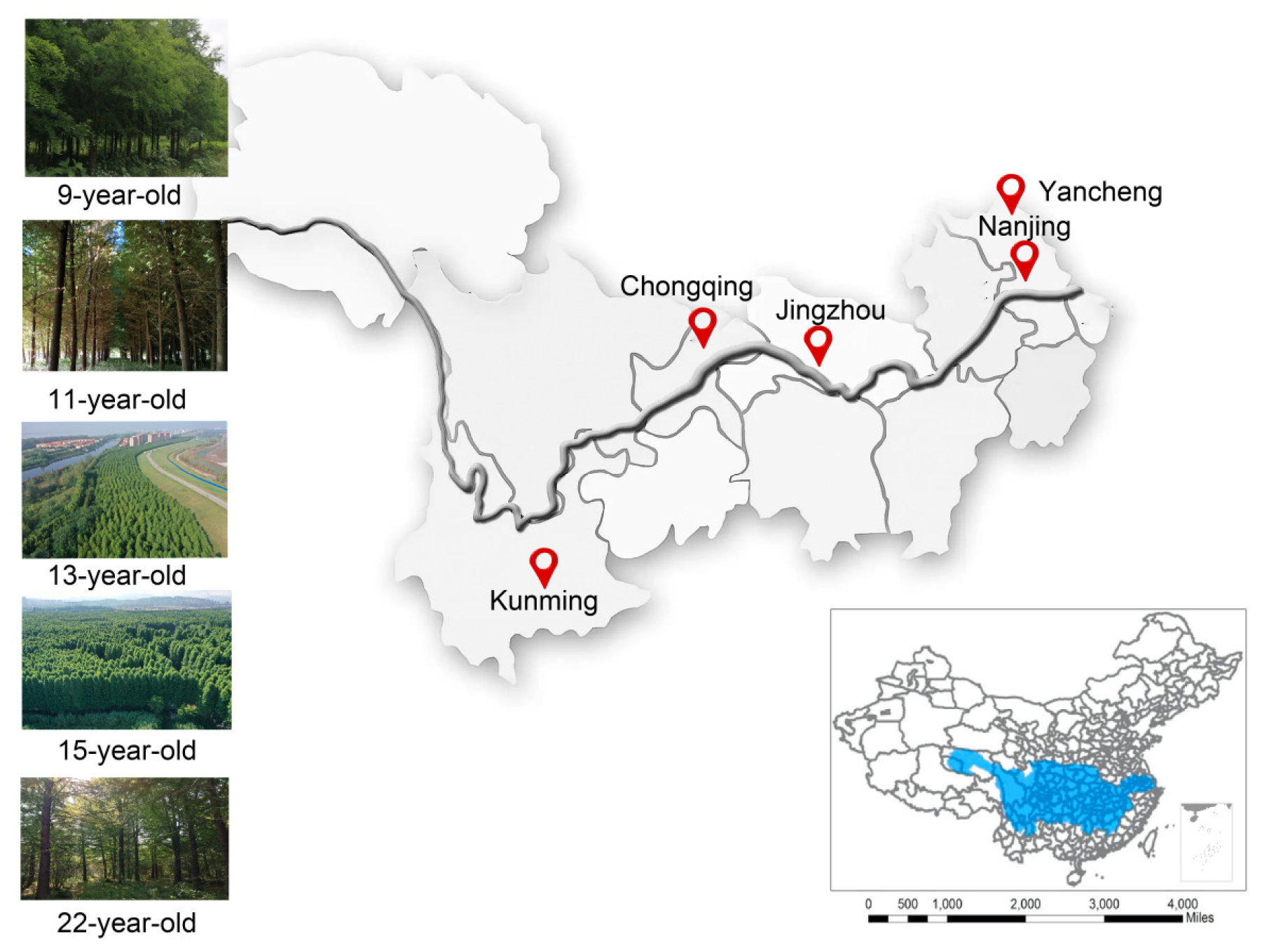 Forests 13 01725 g001