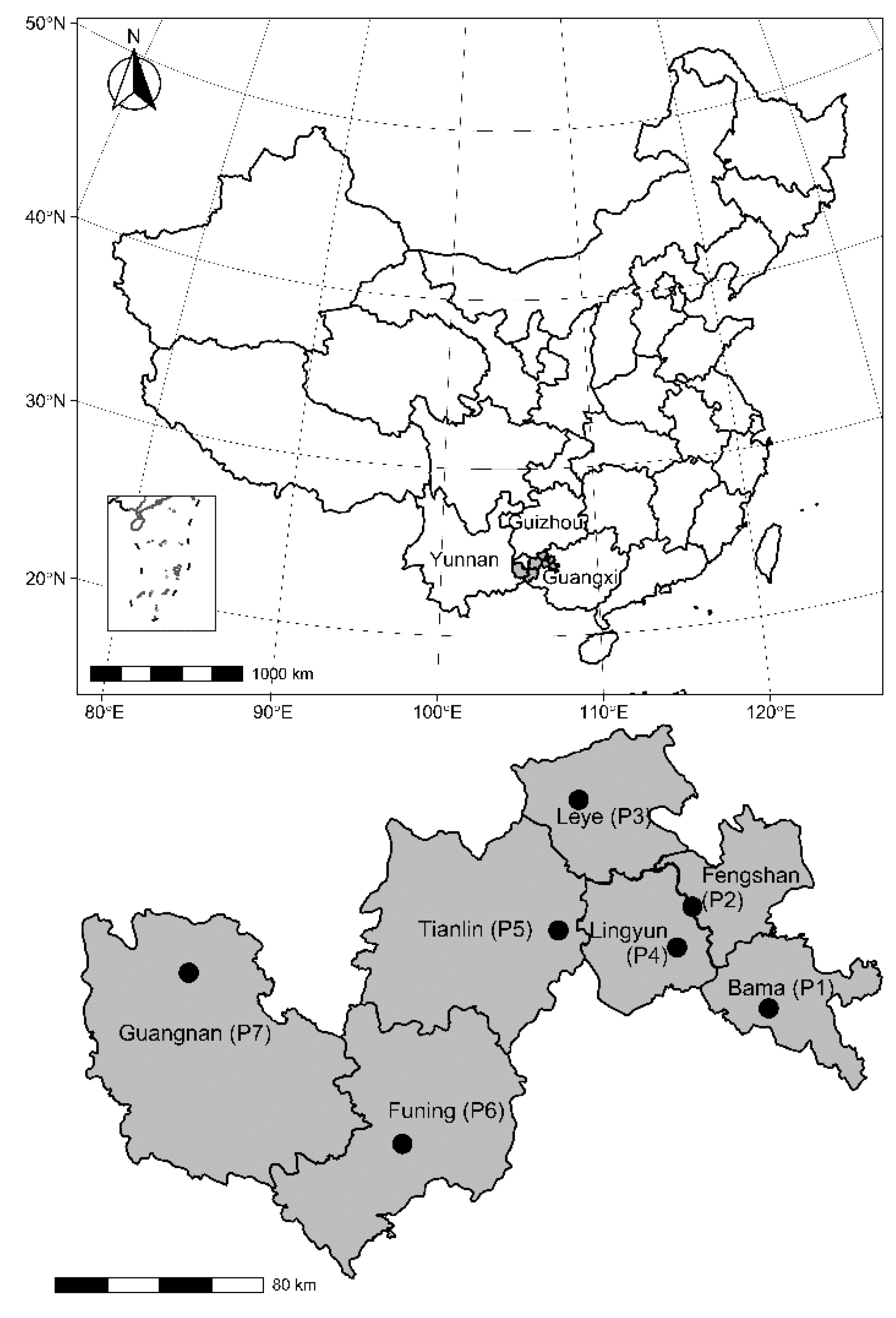 Forests 13 01733 g001 Forests 13 01733 g001