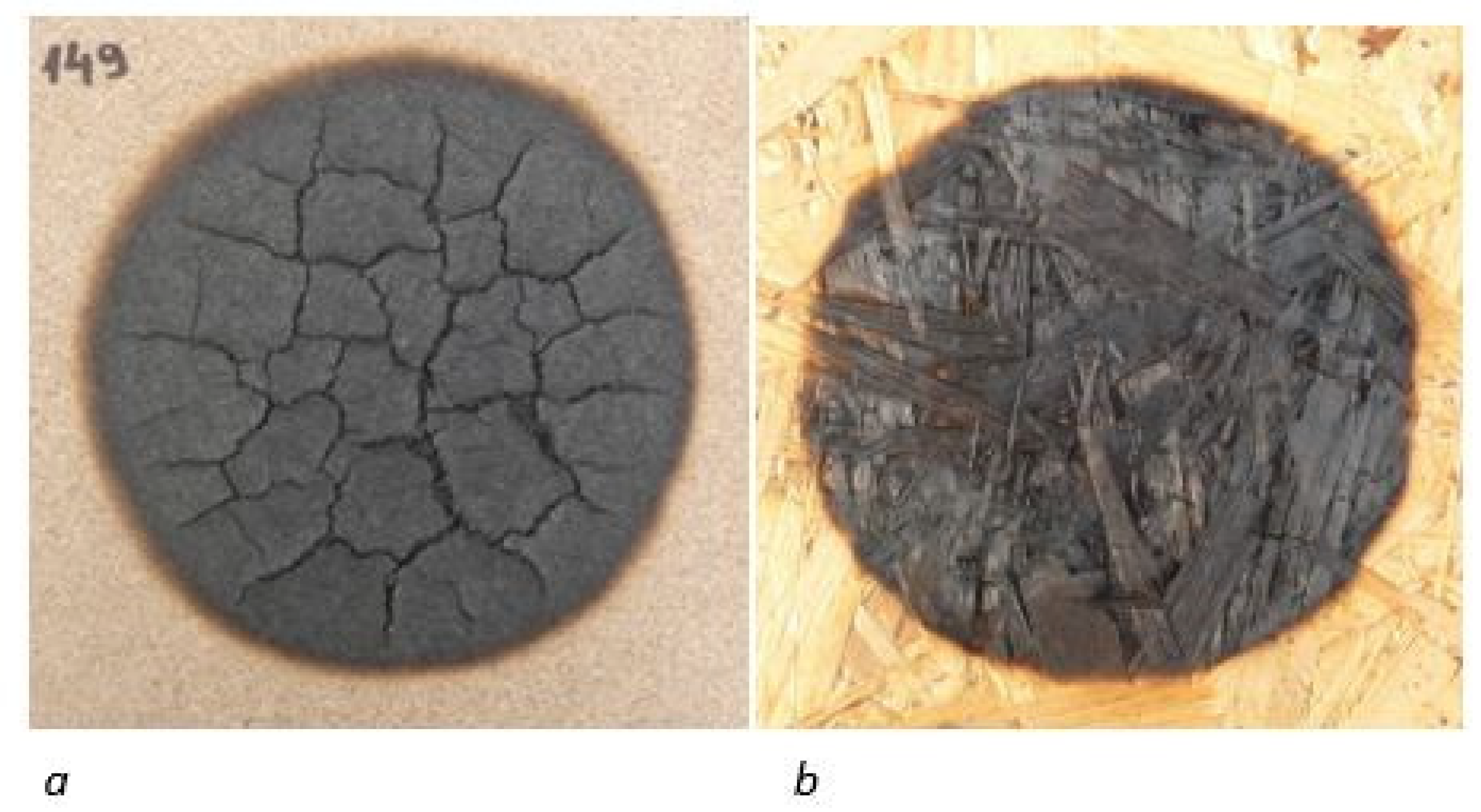 Forests 13 01738 g004 Forests 13 01738 g004