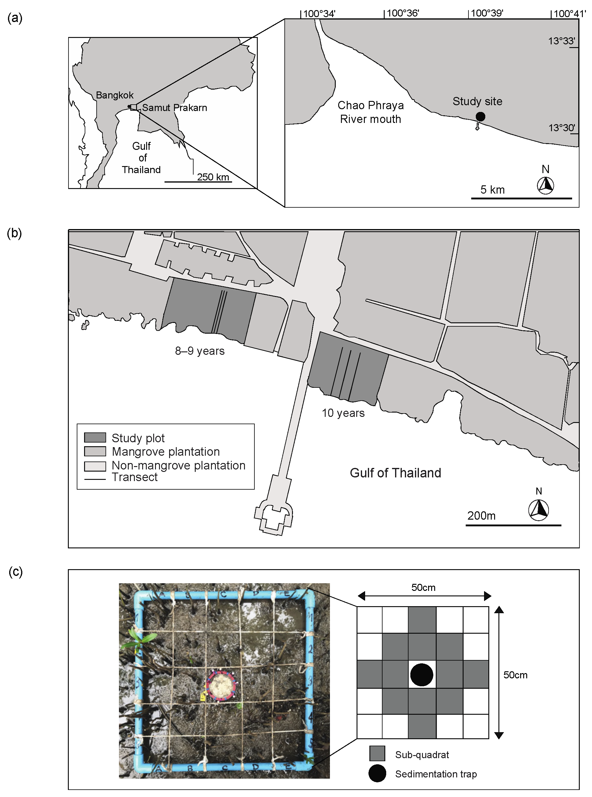 Forests 13 01739 g001 Forests 13 01739 g001