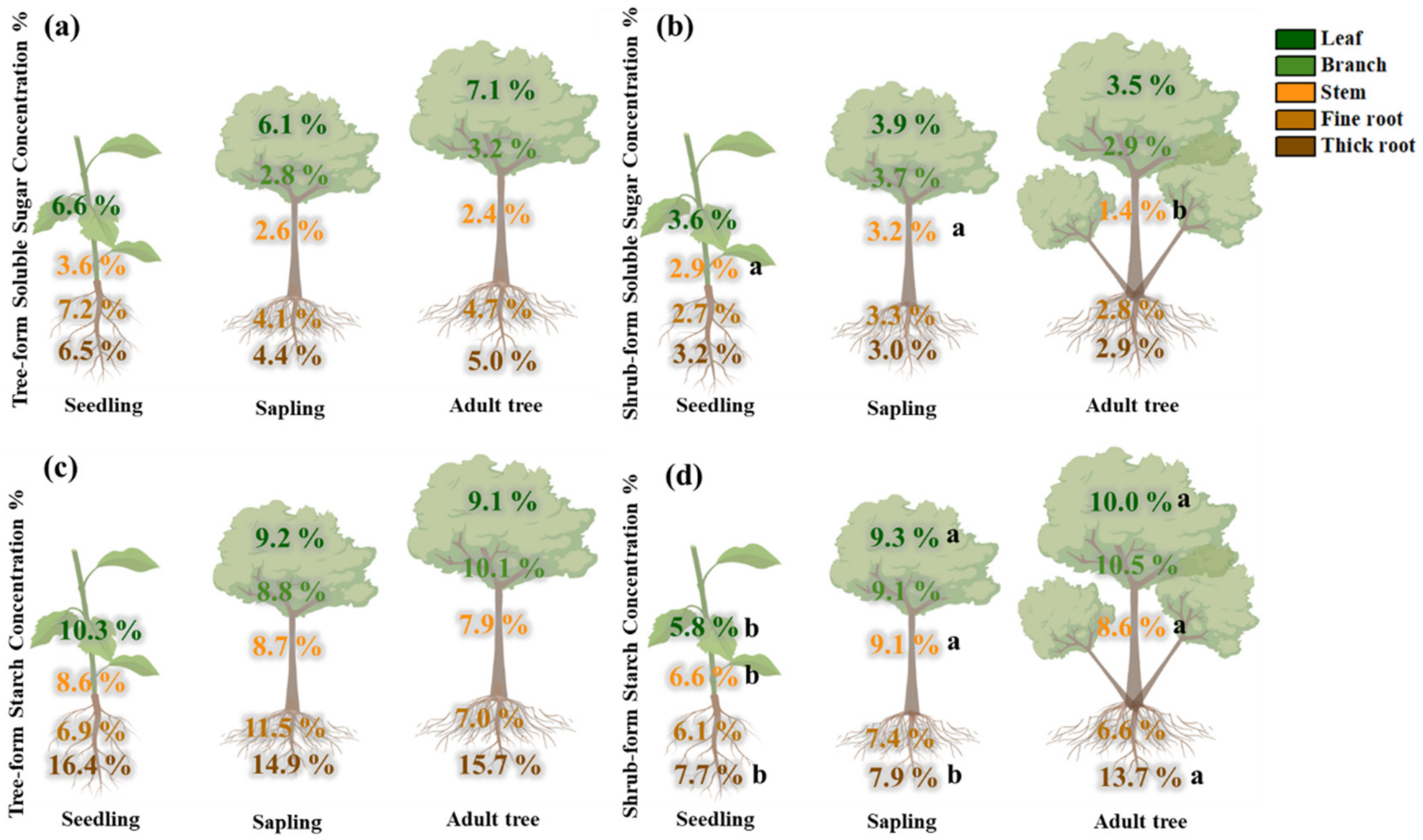 Forests 13 01745 g003 Forests 13 01745 g003