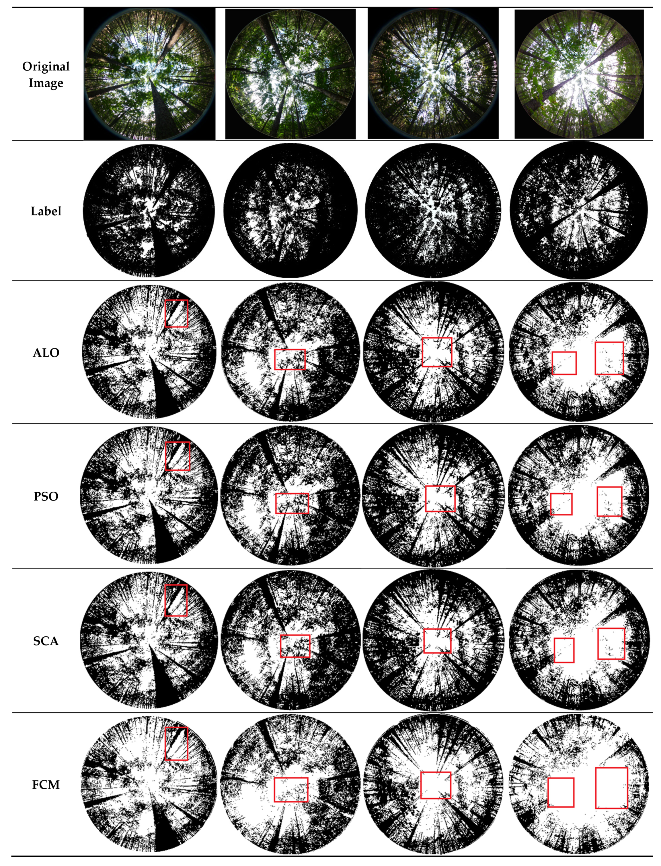 Forests 13 01746 g005a Forests 13 01746 g005a