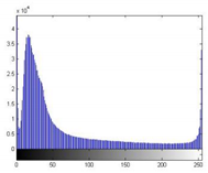 Forests 13 01746 i006 Forests 13 01746 i006