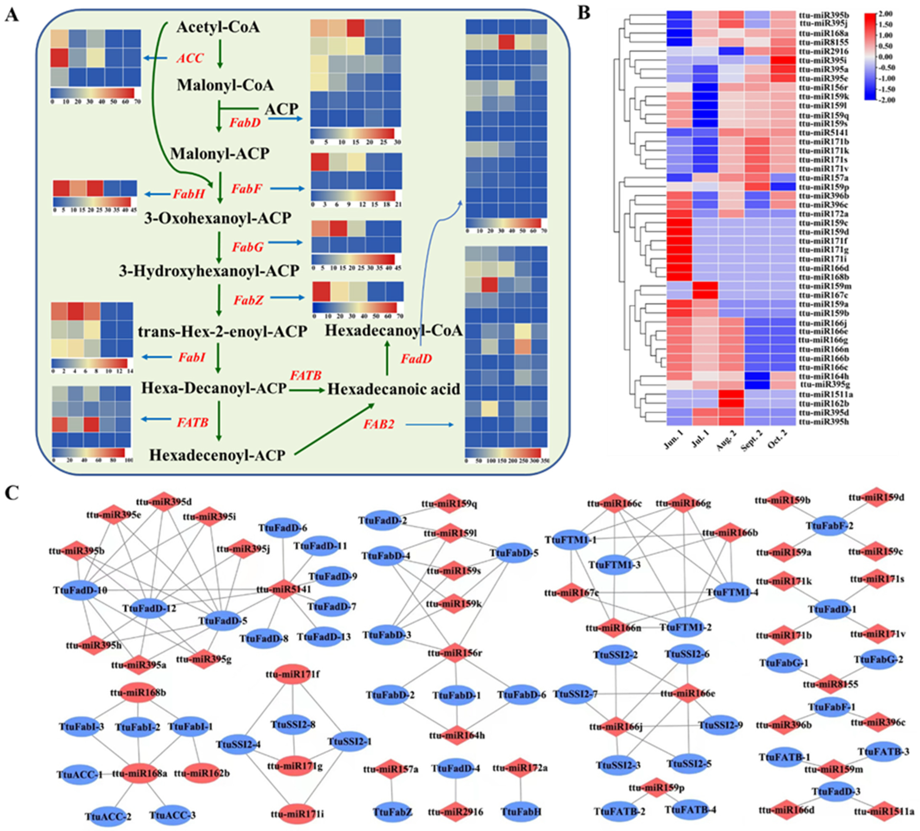 Forests 13 01750 g005 Forests 13 01750 g005