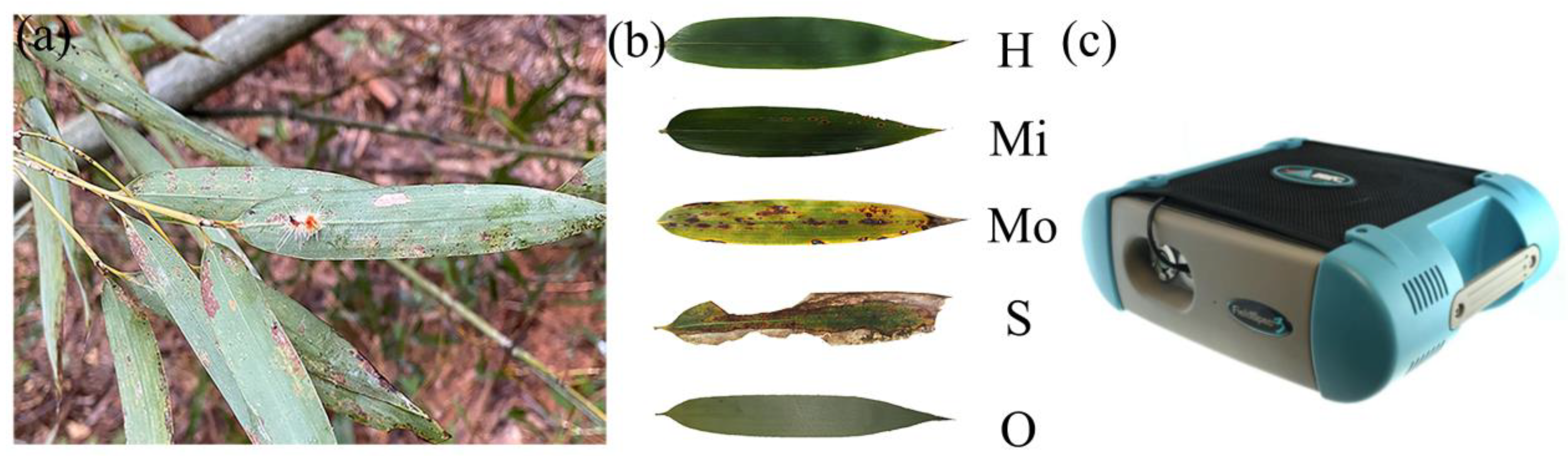 Forests 13 01752 g002 Forests 13 01752 g002