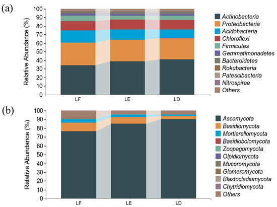 The Effect of Intercropping Mulberry (Morus alba L.) with