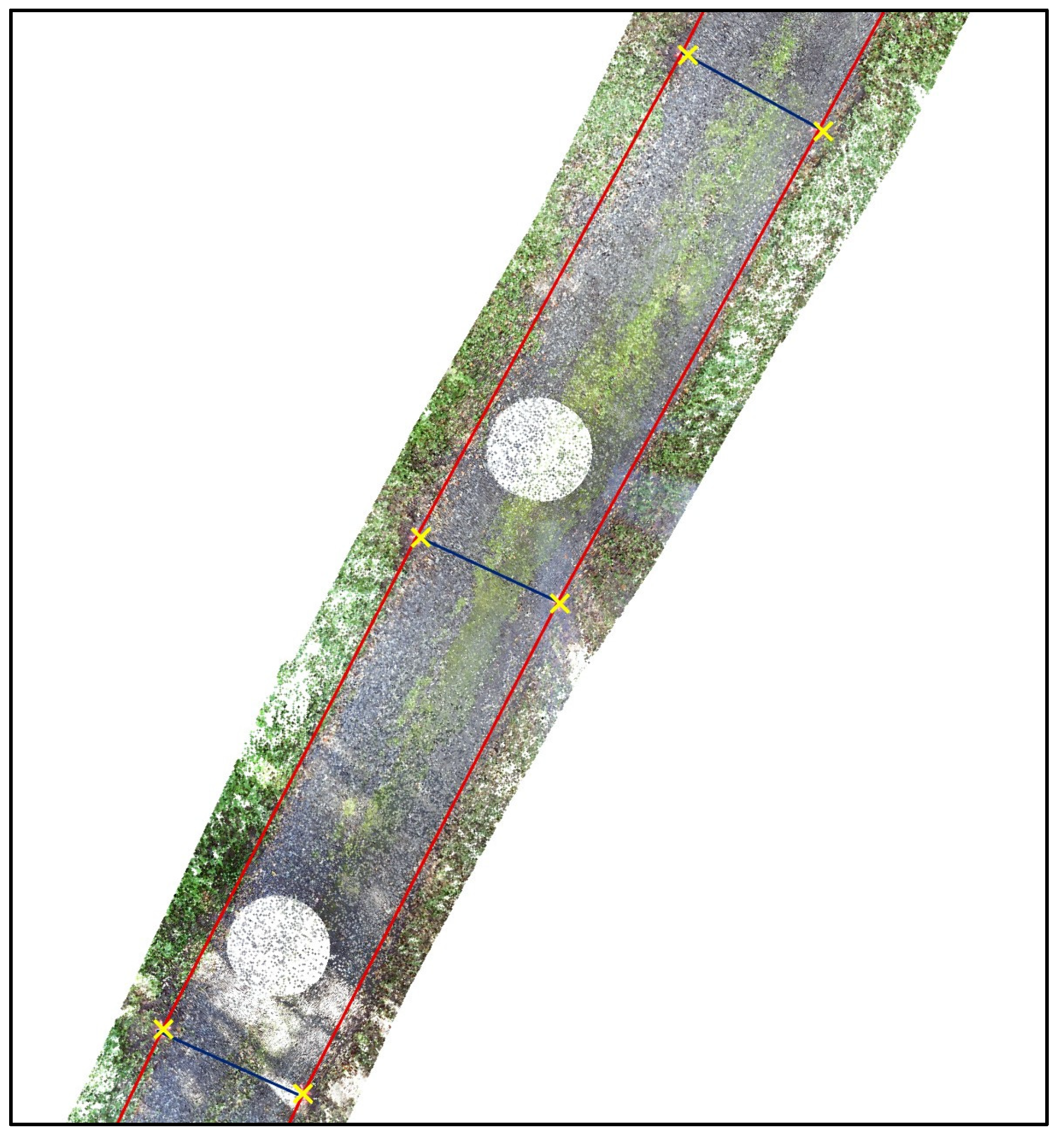 Forests 13 01763 g004 Forests 13 01763 g004