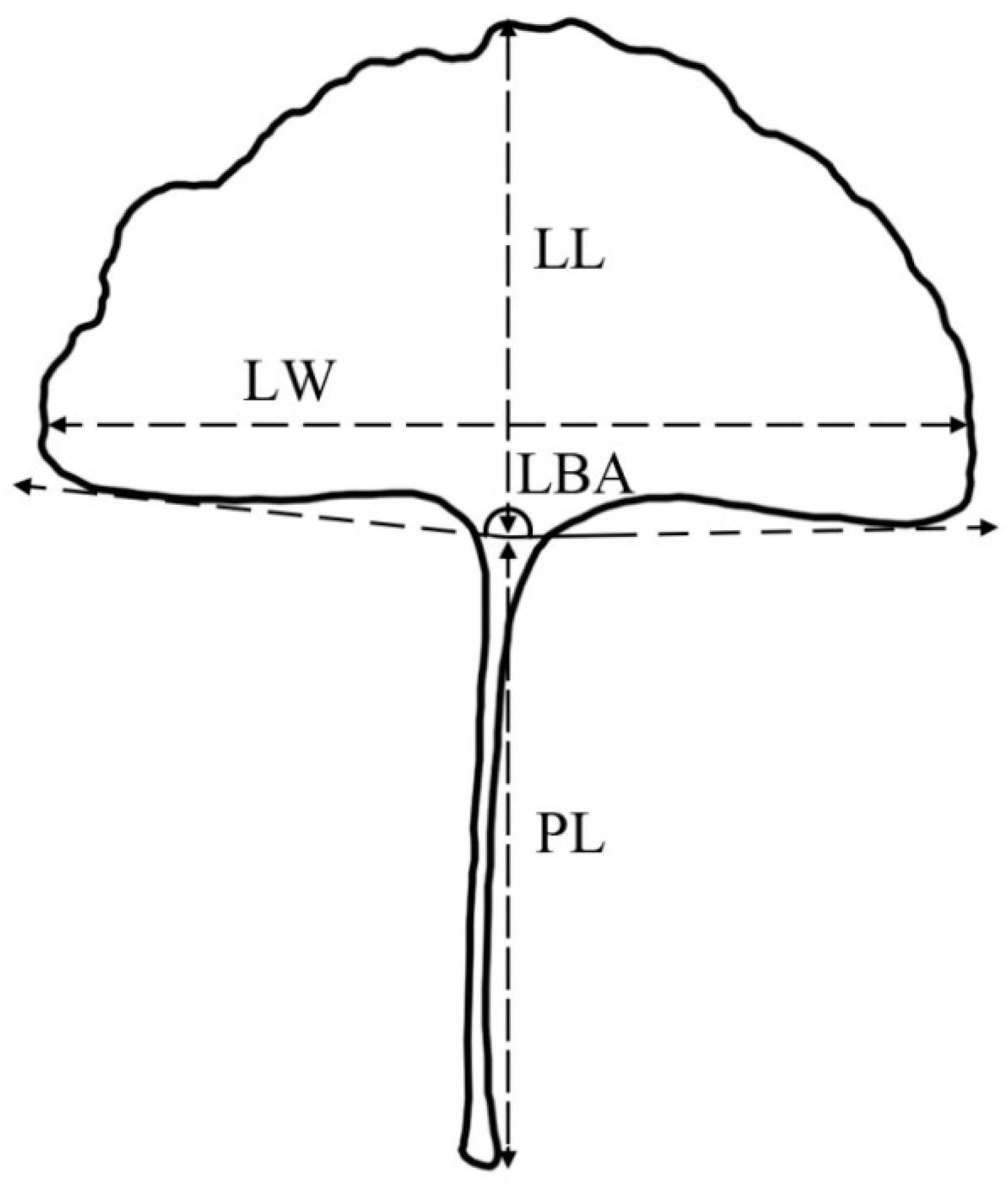 Forests 13 01764 g002 Forests 13 01764 g002