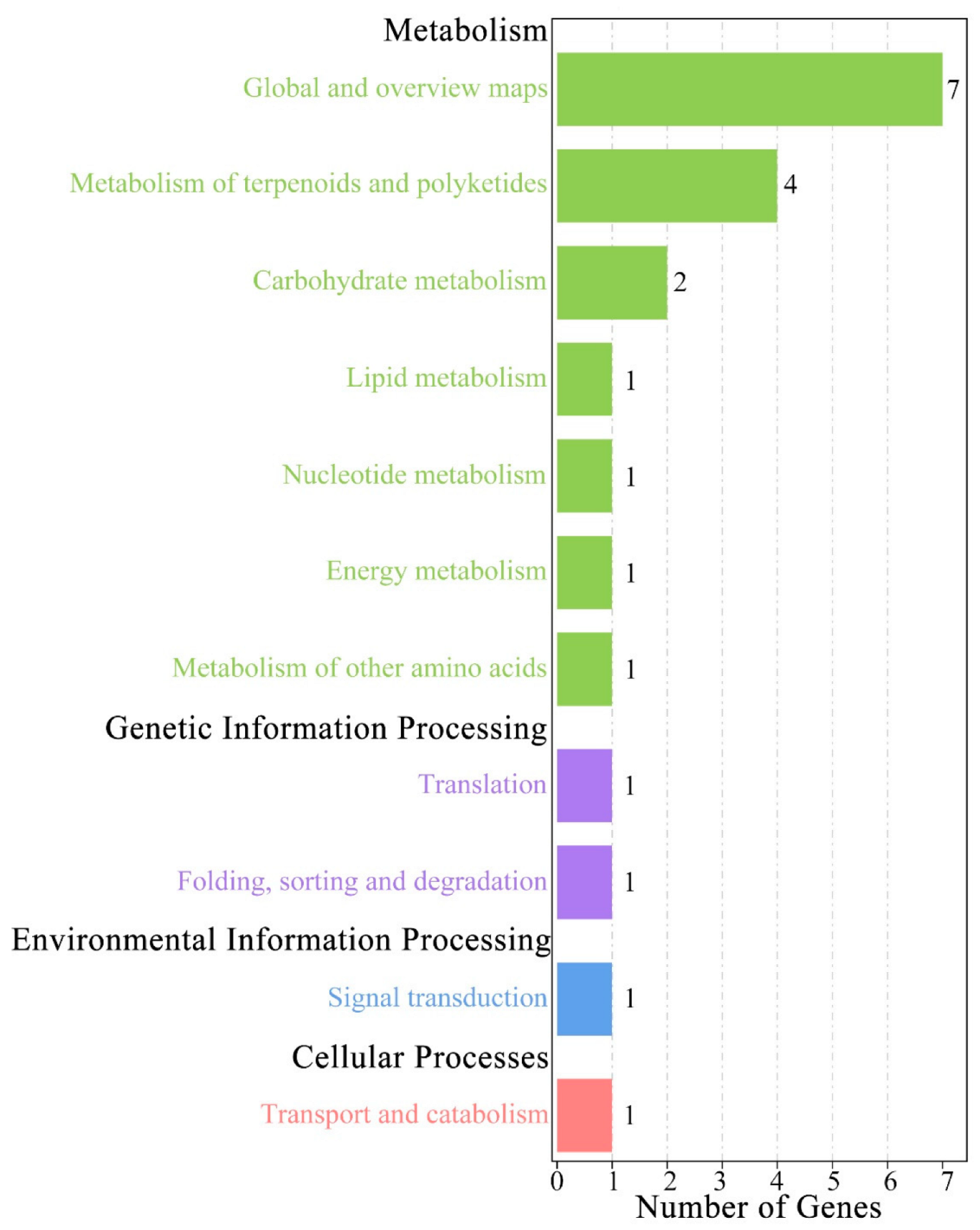 Variation Pattern and Genome-Wide Association Study of Leaf