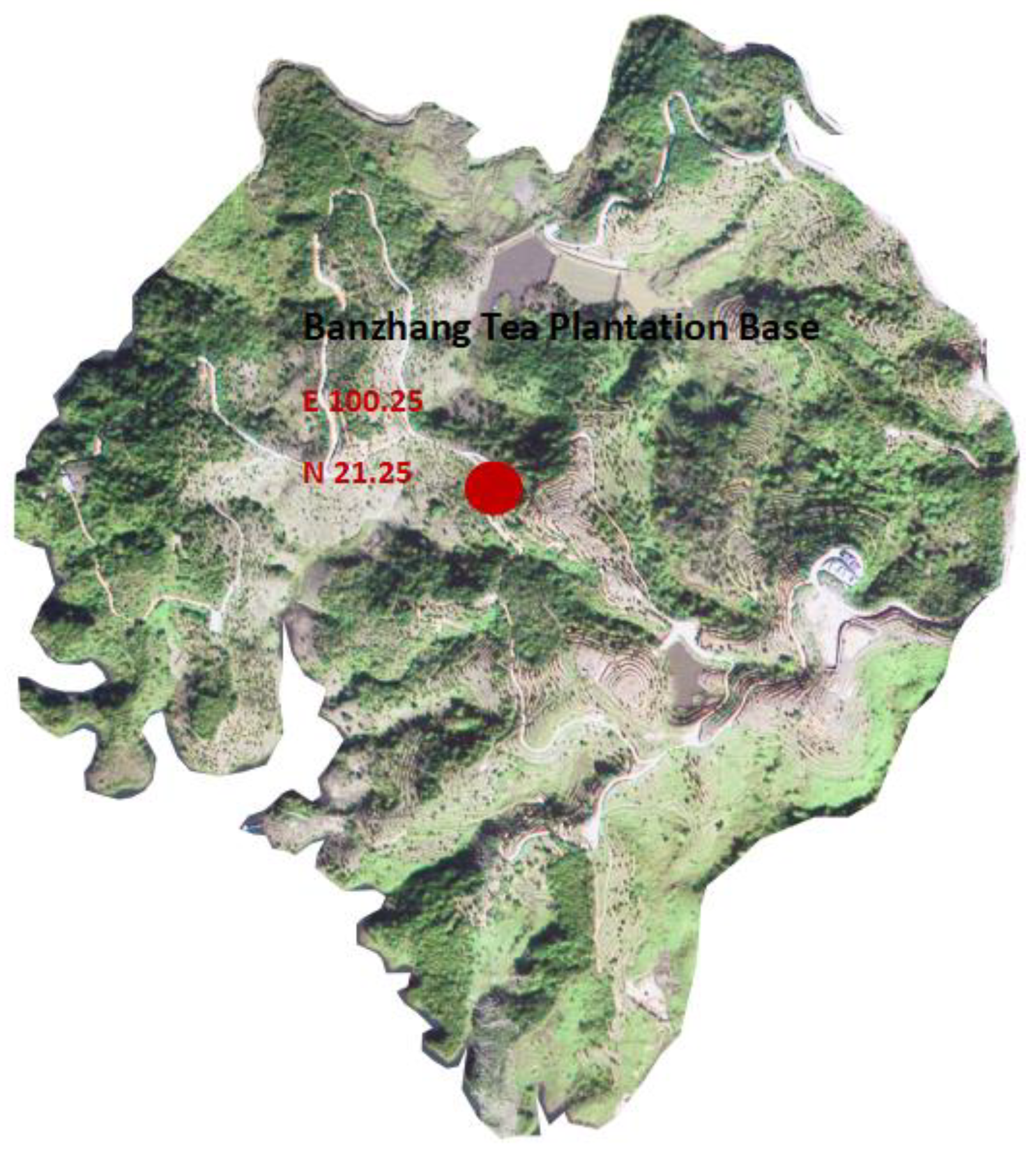 Forests 13 01778 g001 Forests 13 01778 g001