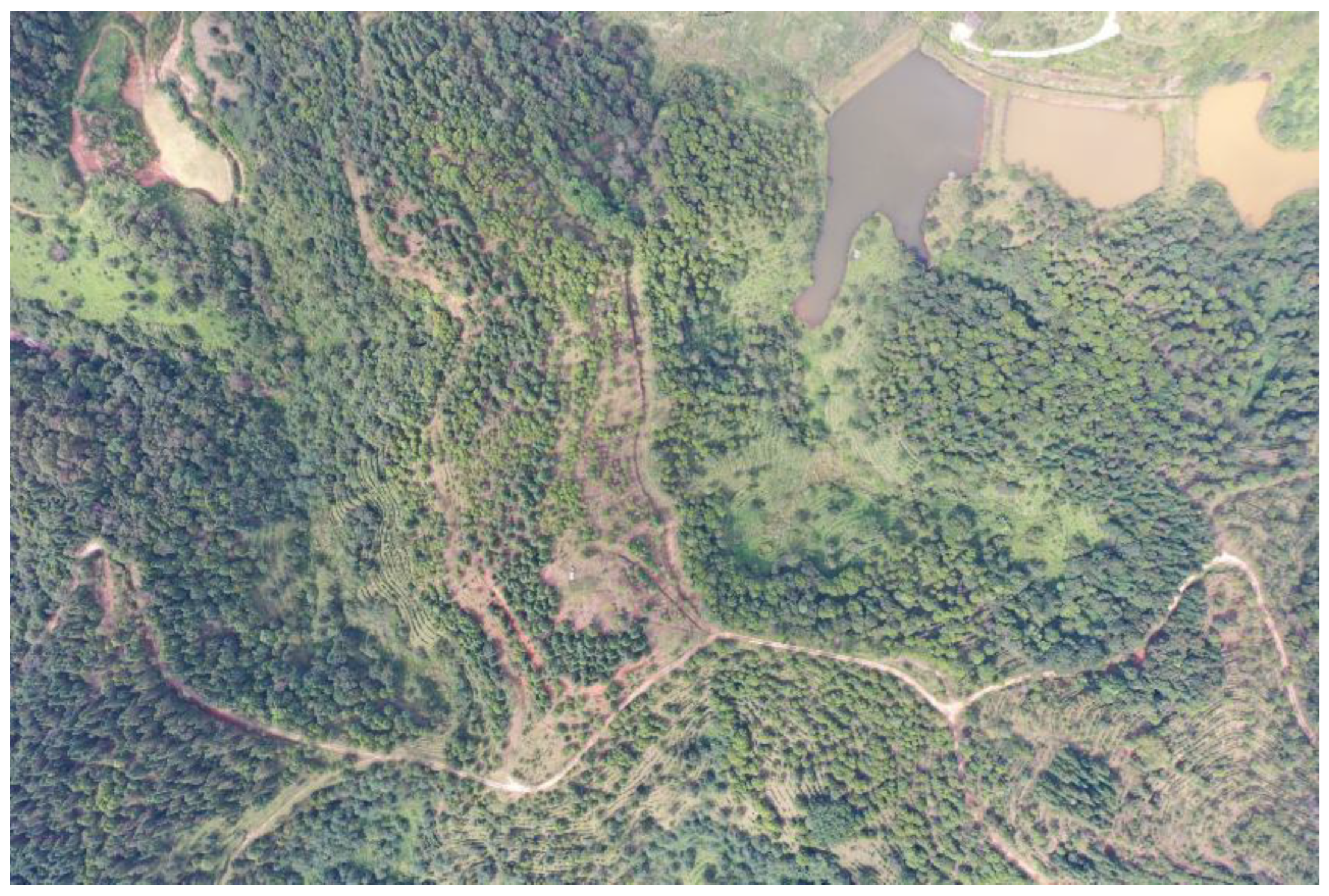 Forests 13 01778 g002 Forests 13 01778 g002