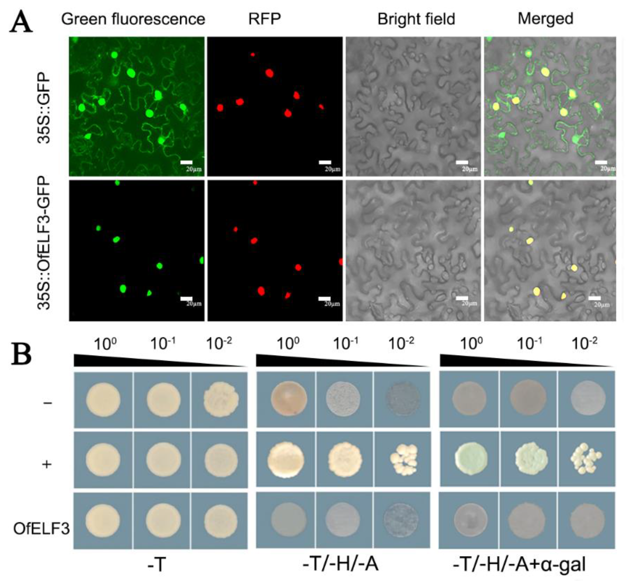 Forests 13 01786 g002 Forests 13 01786 g002