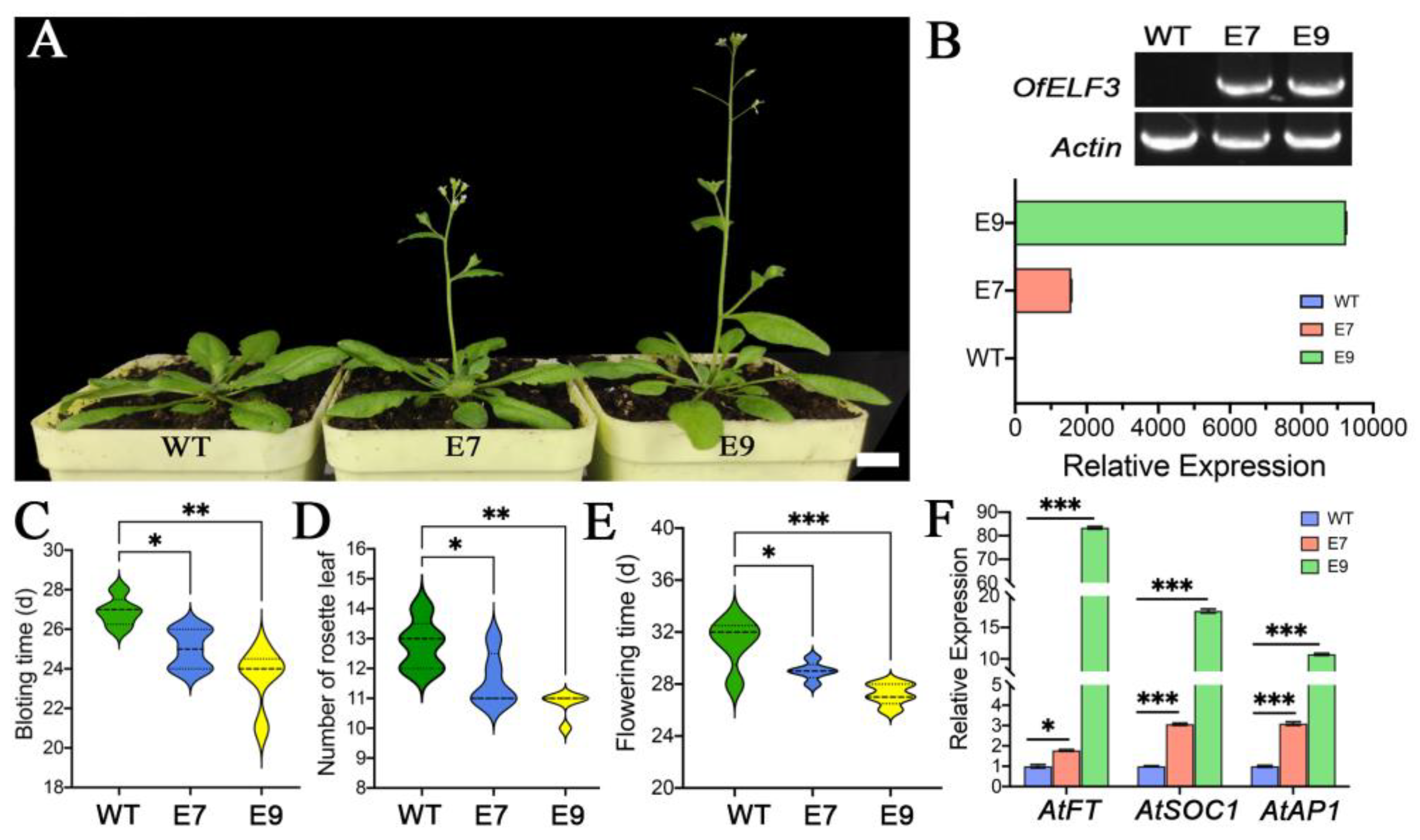 Forests 13 01786 g004 Forests 13 01786 g004