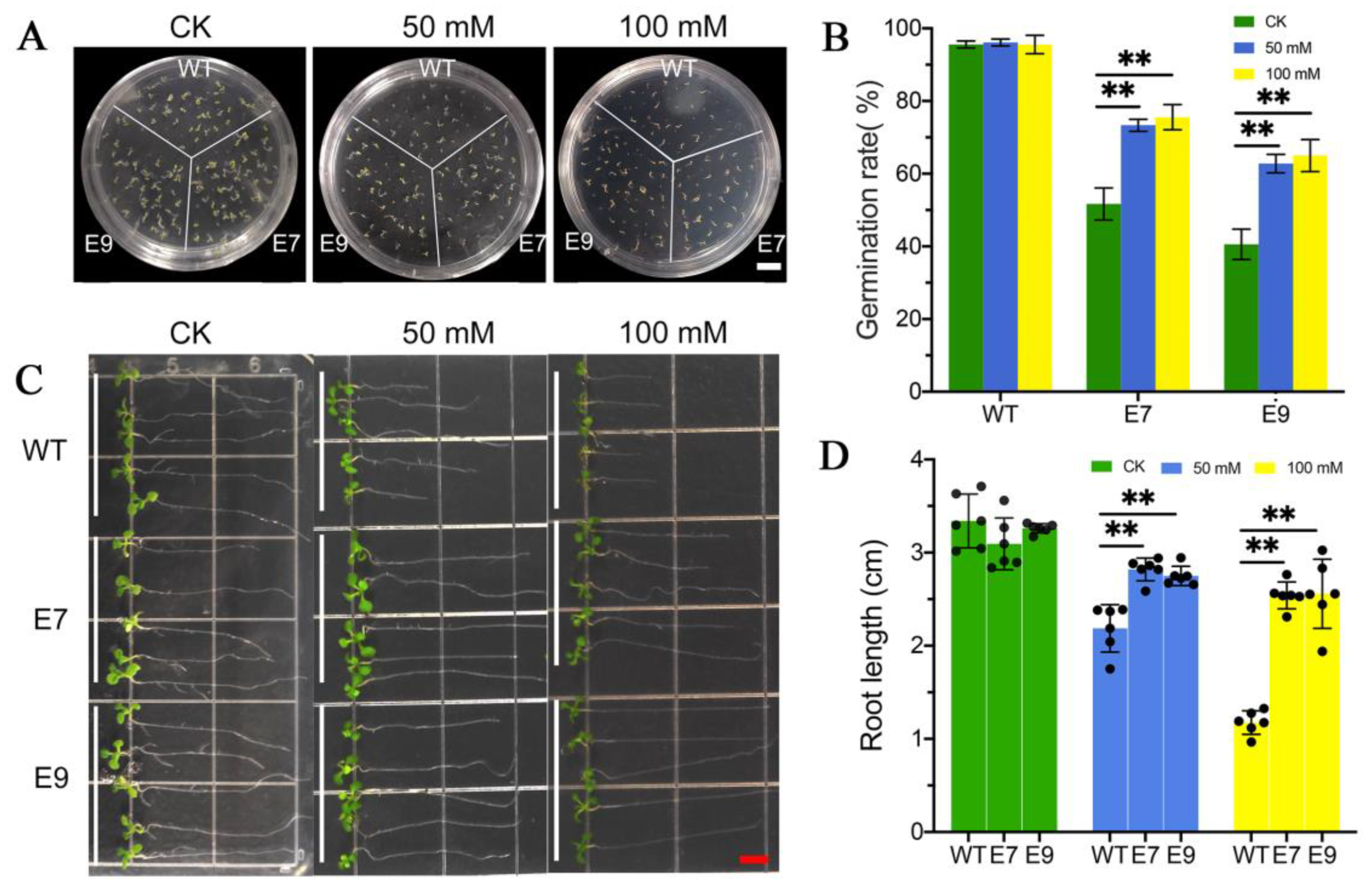 Forests 13 01786 g005 Forests 13 01786 g005