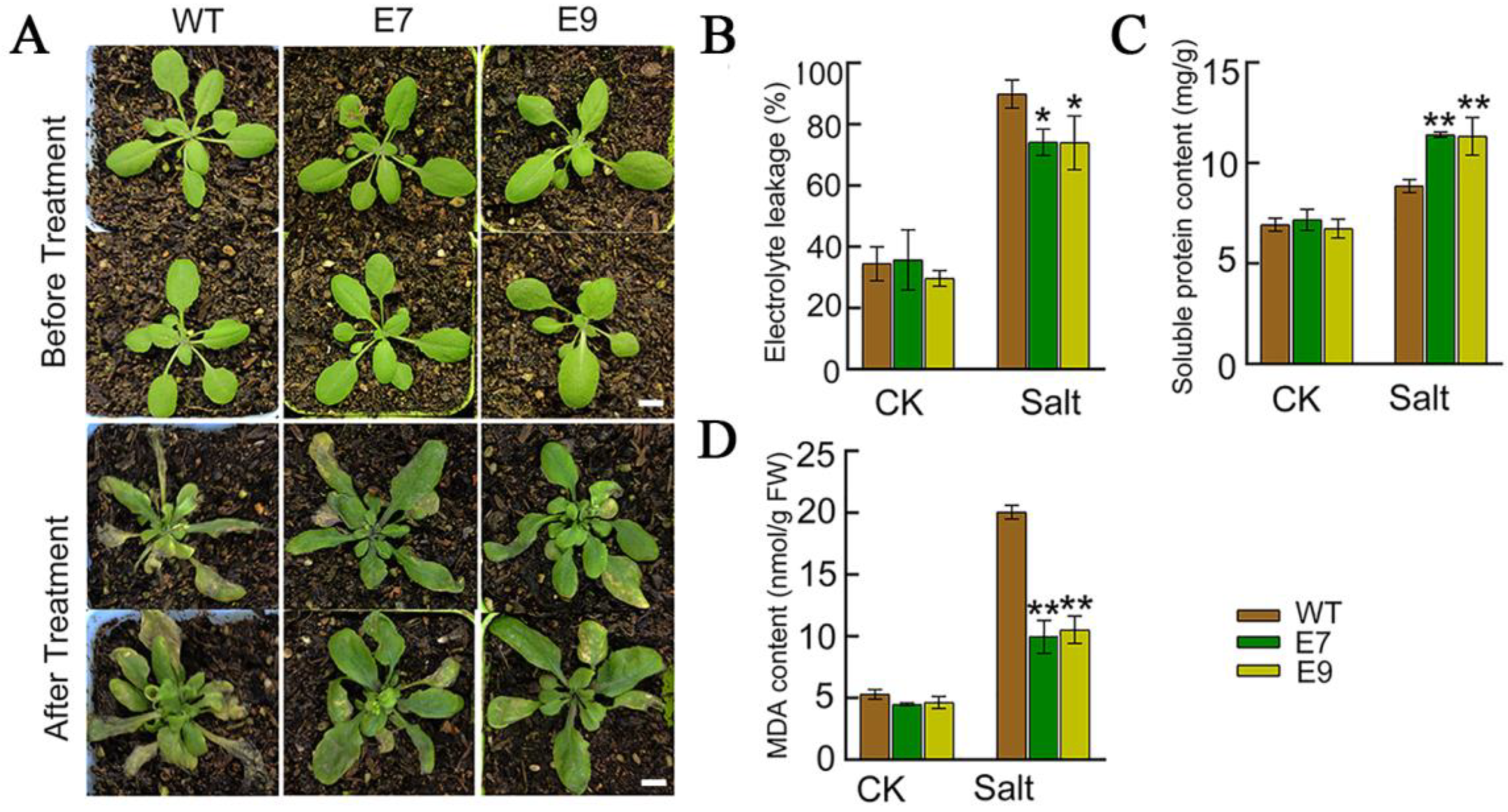 Forests 13 01786 g006 Forests 13 01786 g006