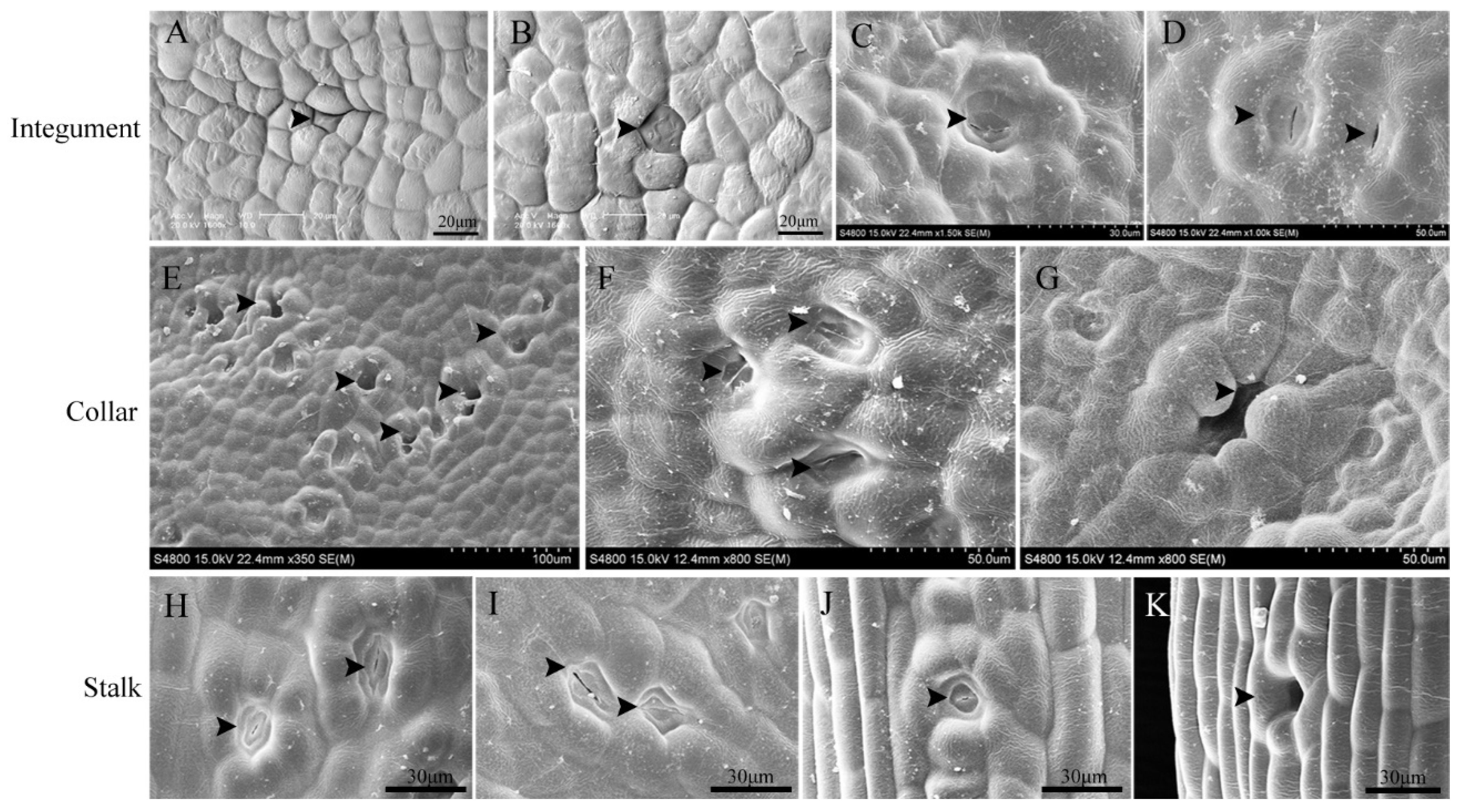 Forests 13 01801 g002 Forests 13 01801 g002