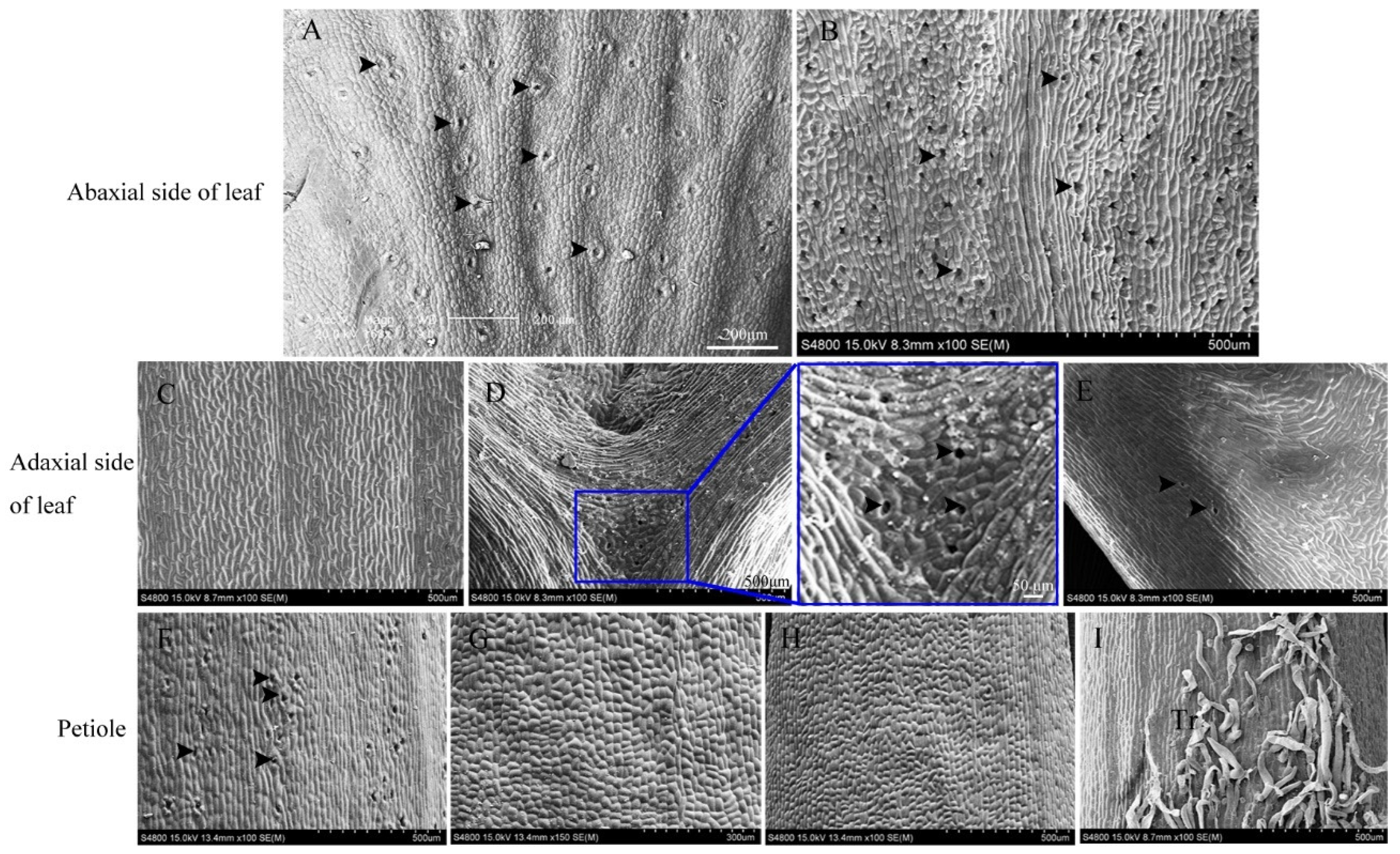 Forests 13 01801 g003 Forests 13 01801 g003