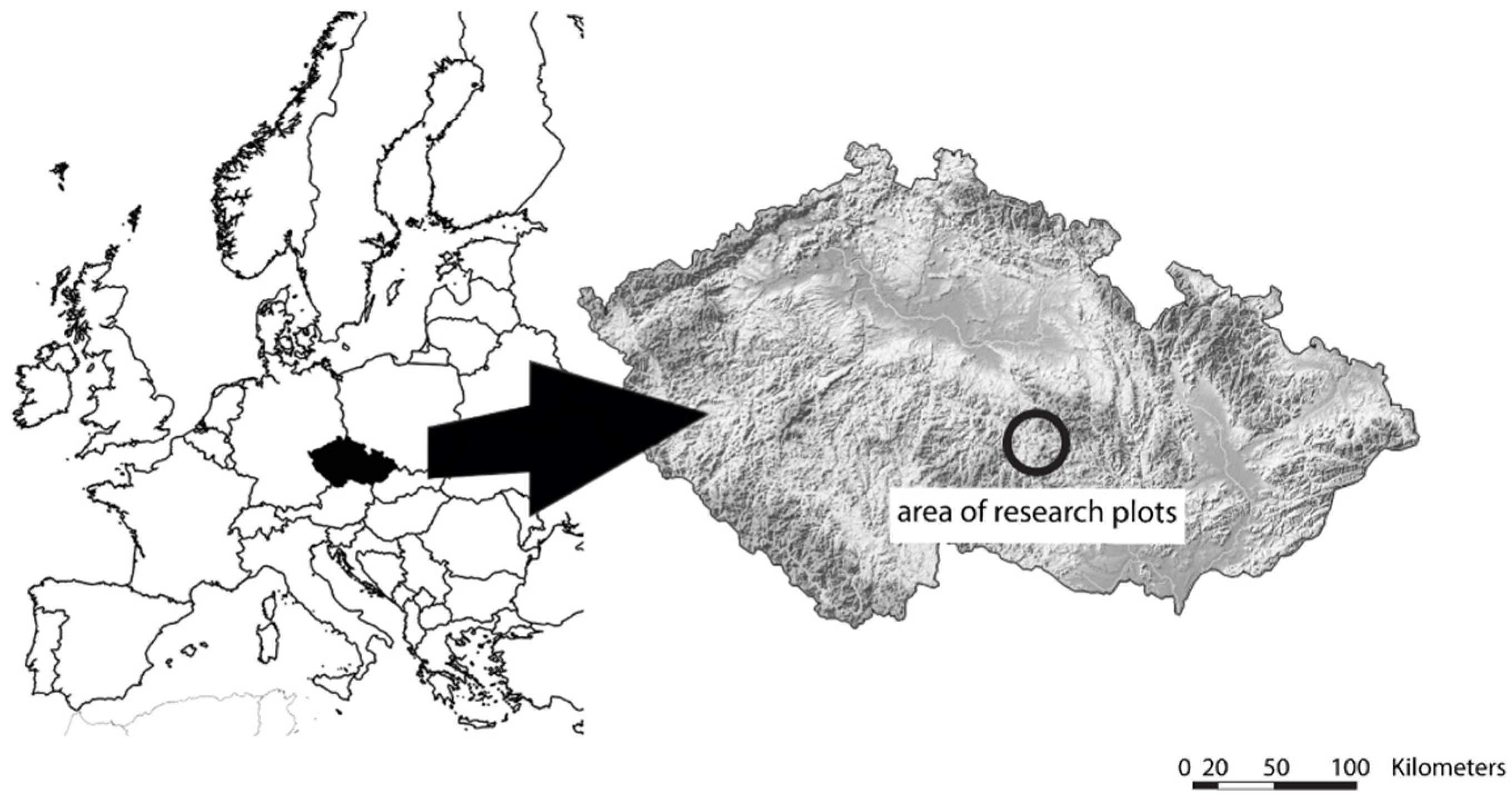 Forests 13 01804 g001