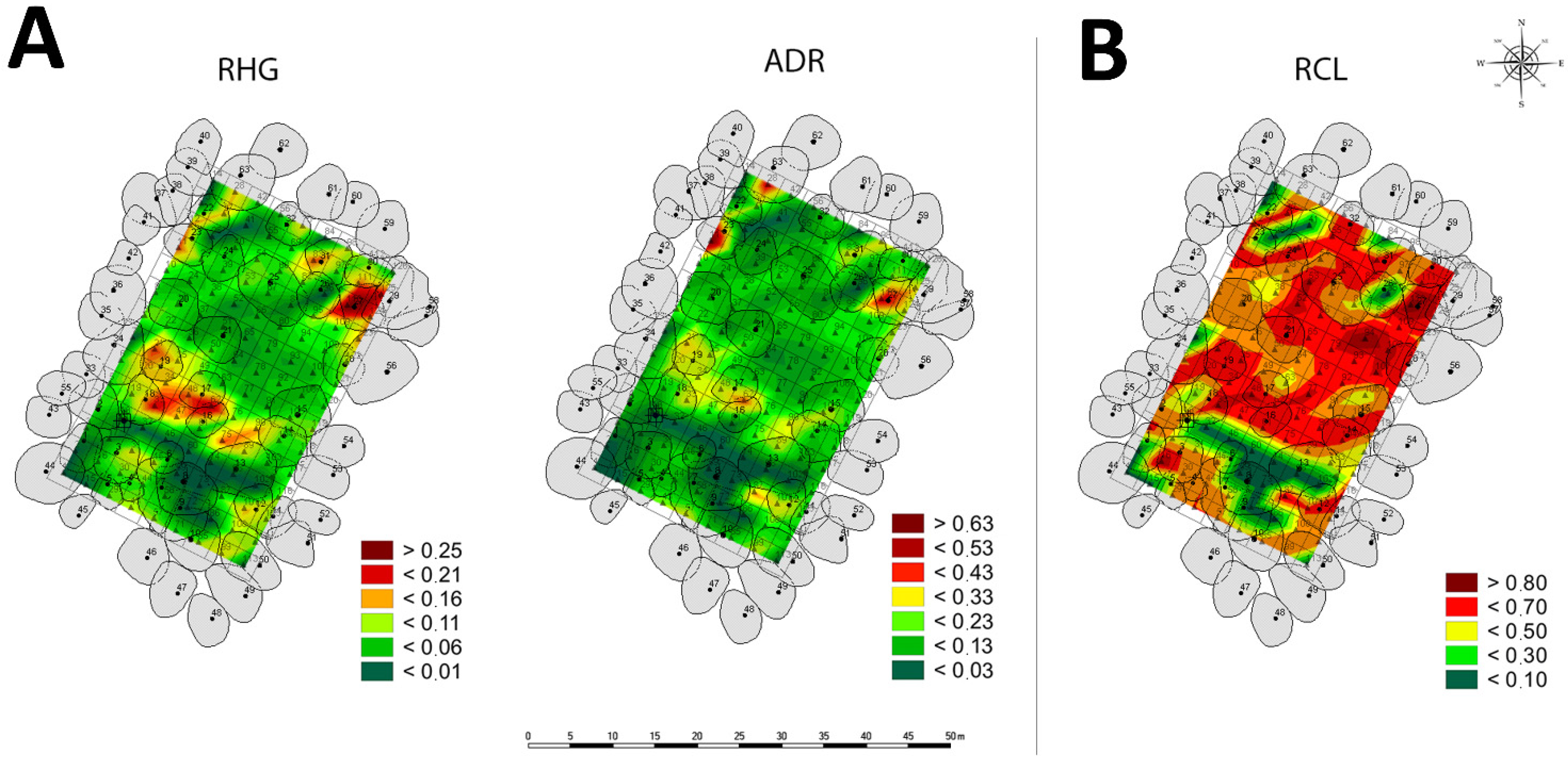 Forests 13 01804 g002