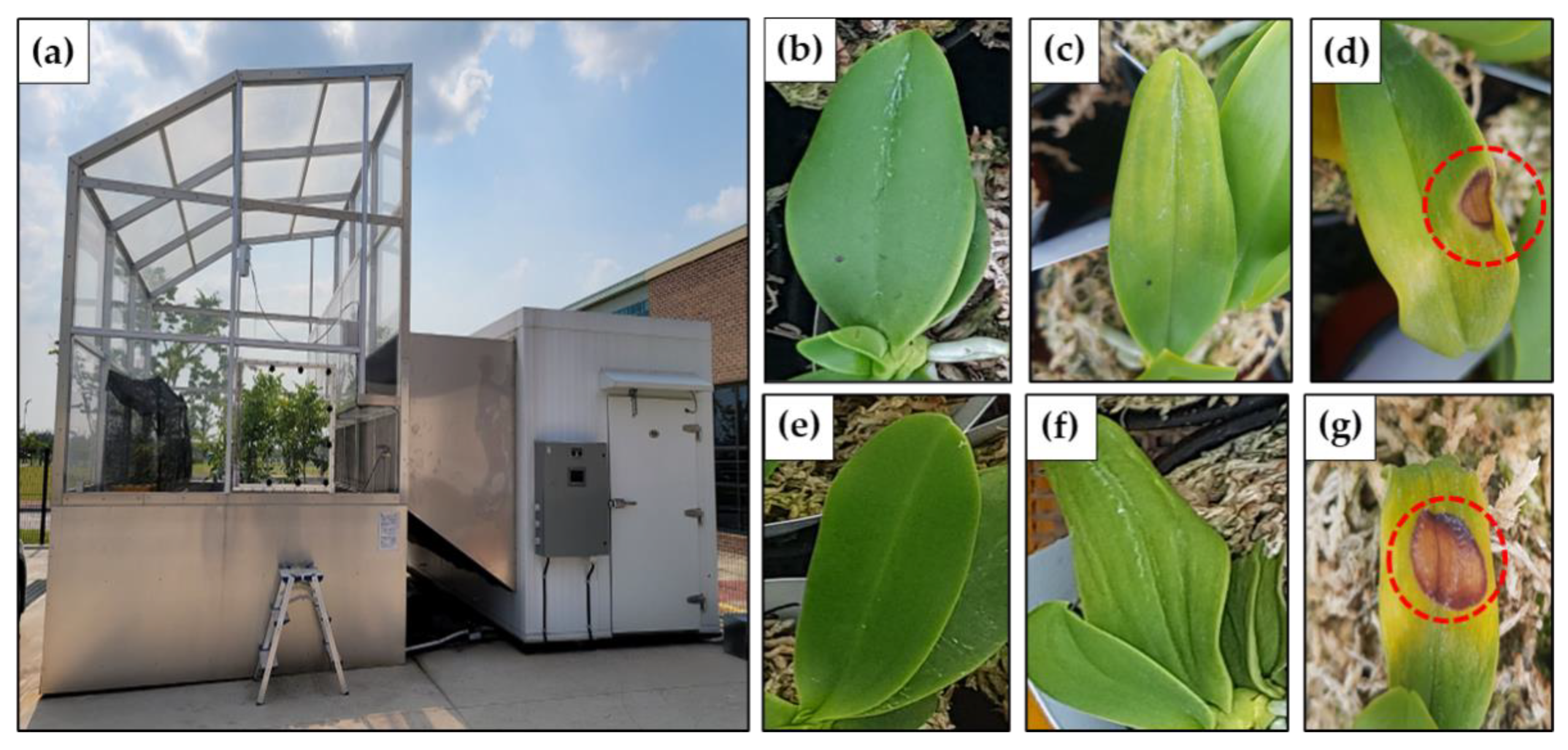 Forests 13 01823 g001