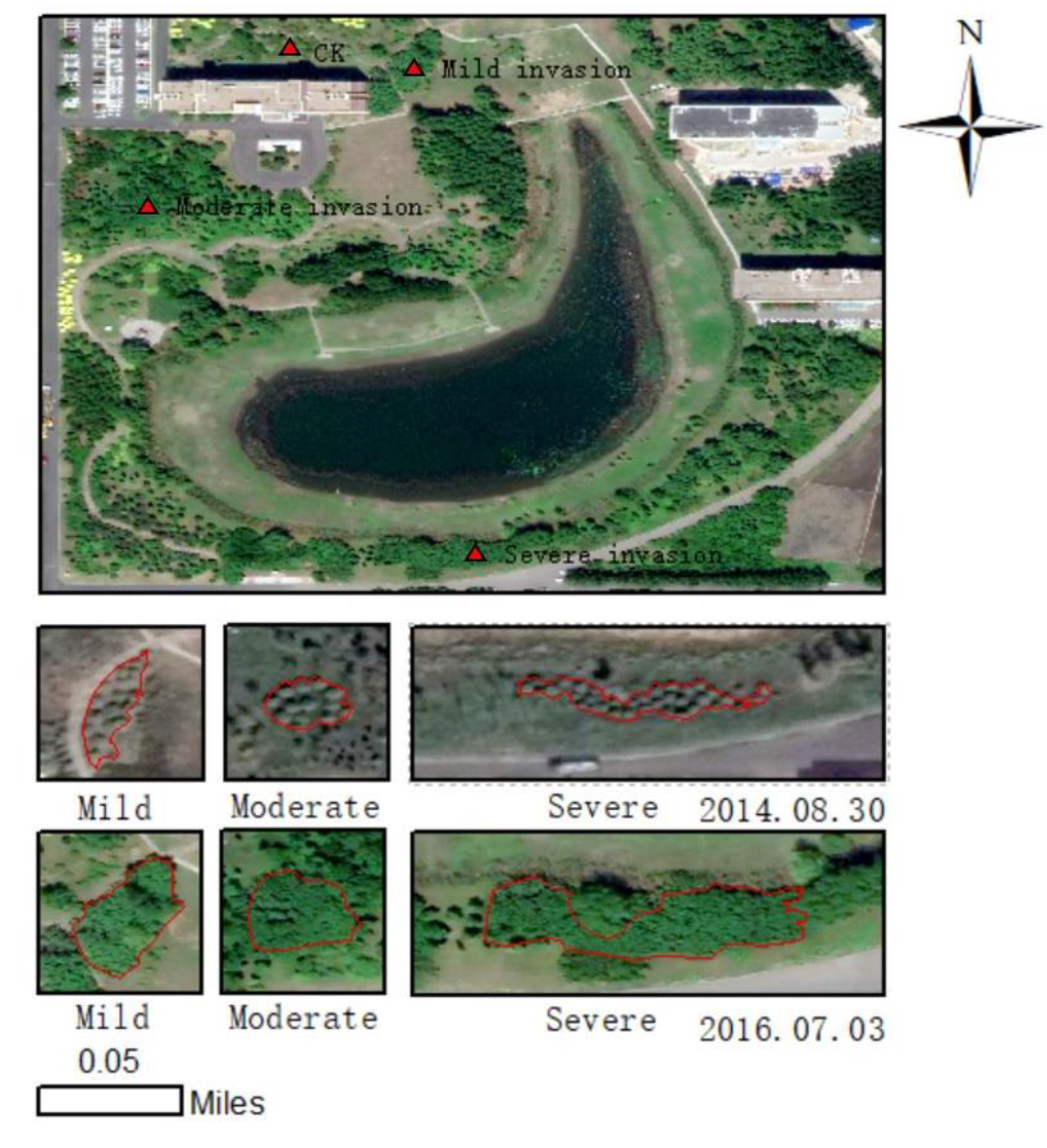 Forests 13 01827 g001 Forests 13 01827 g001