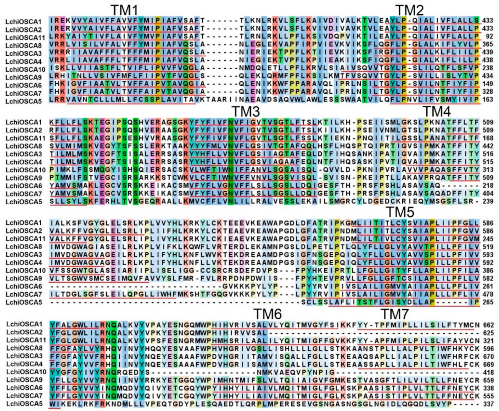 Forests 13 01835 g002