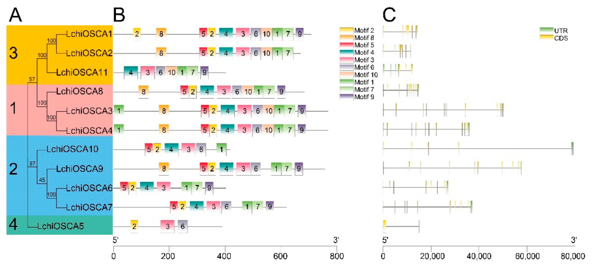 Forests 13 01835 g004