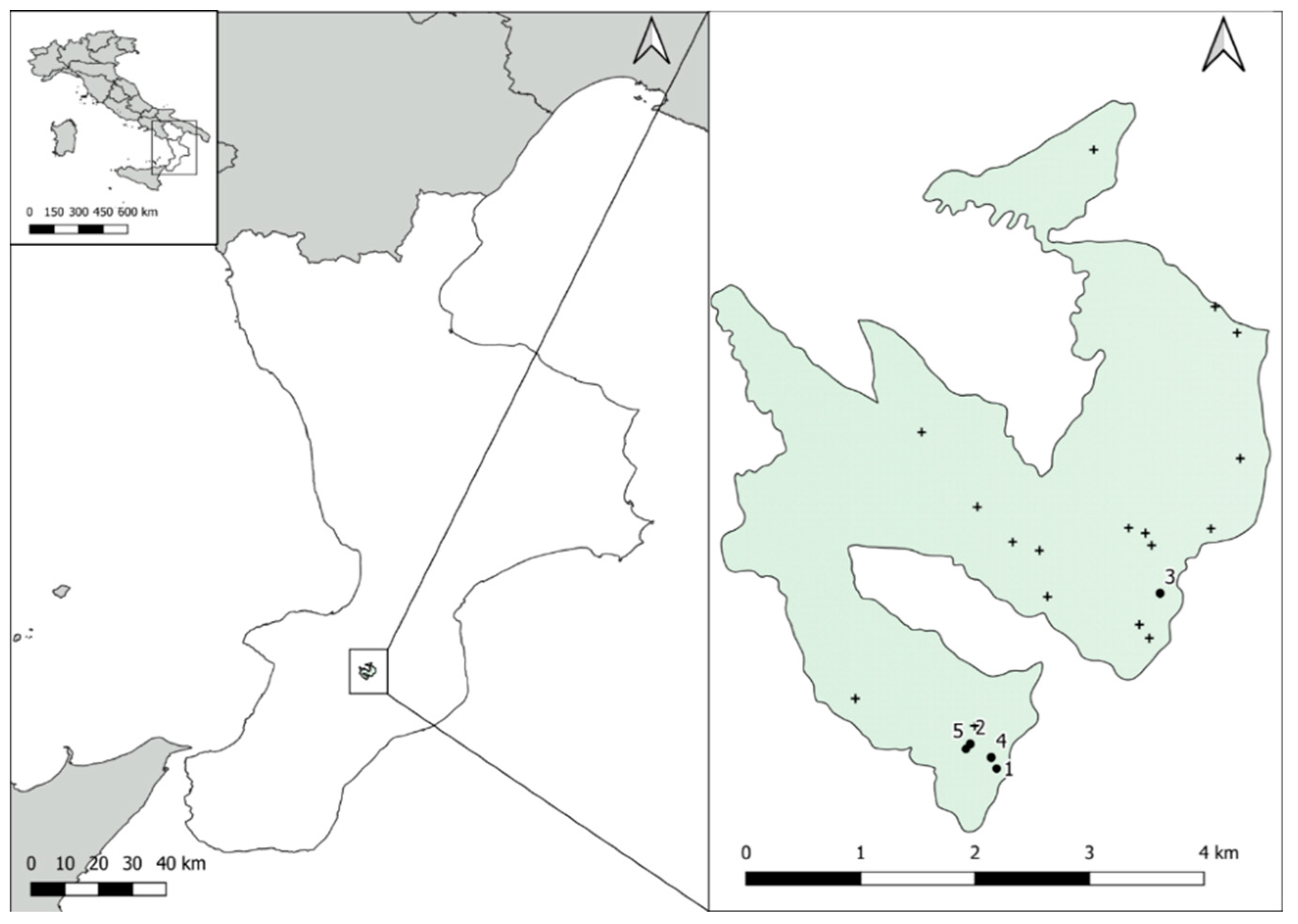 Forests 13 01838 g003 Forests 13 01838 g003