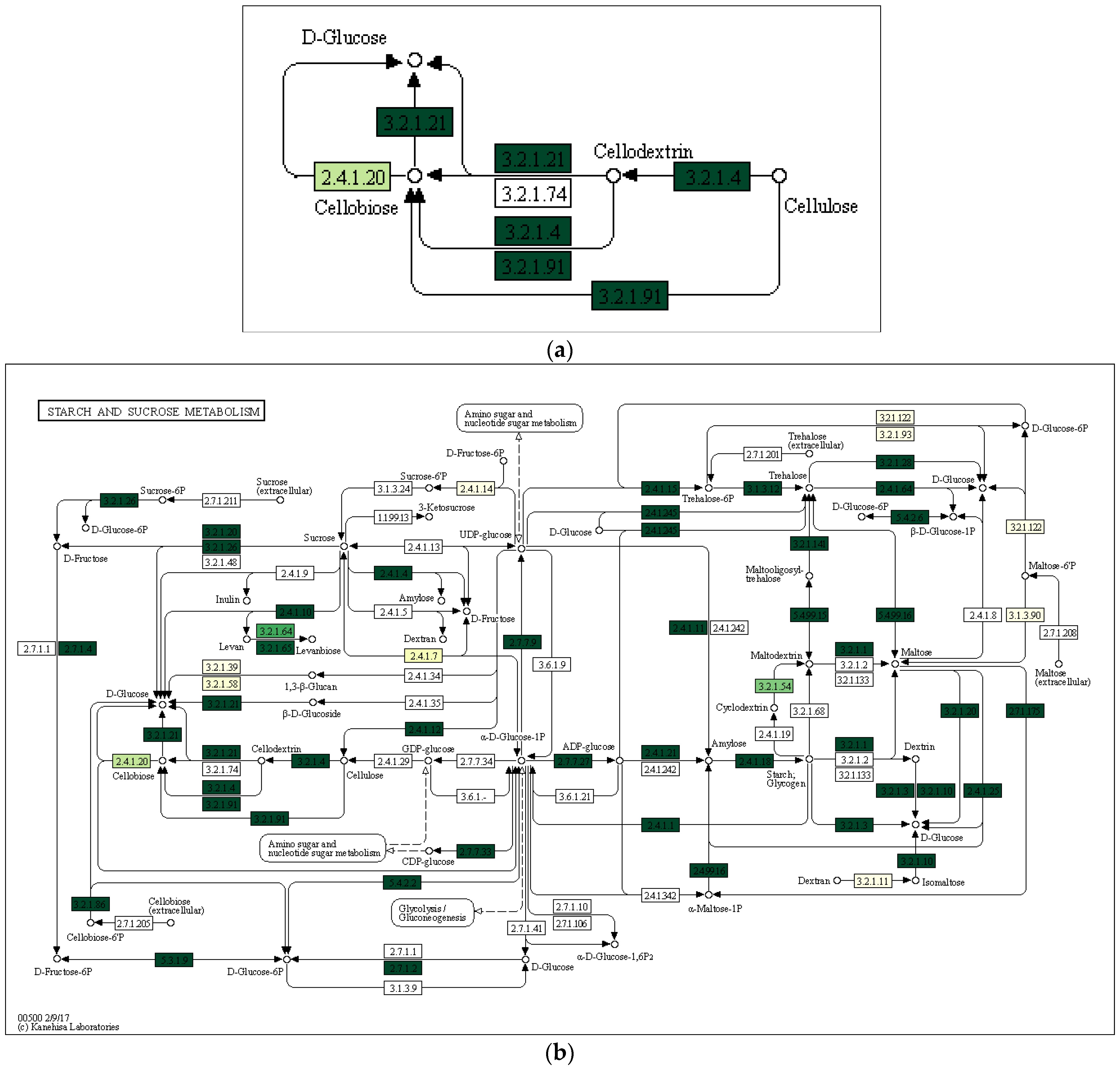 Forests 13 01863 g007a Forests 13 01863 g007a