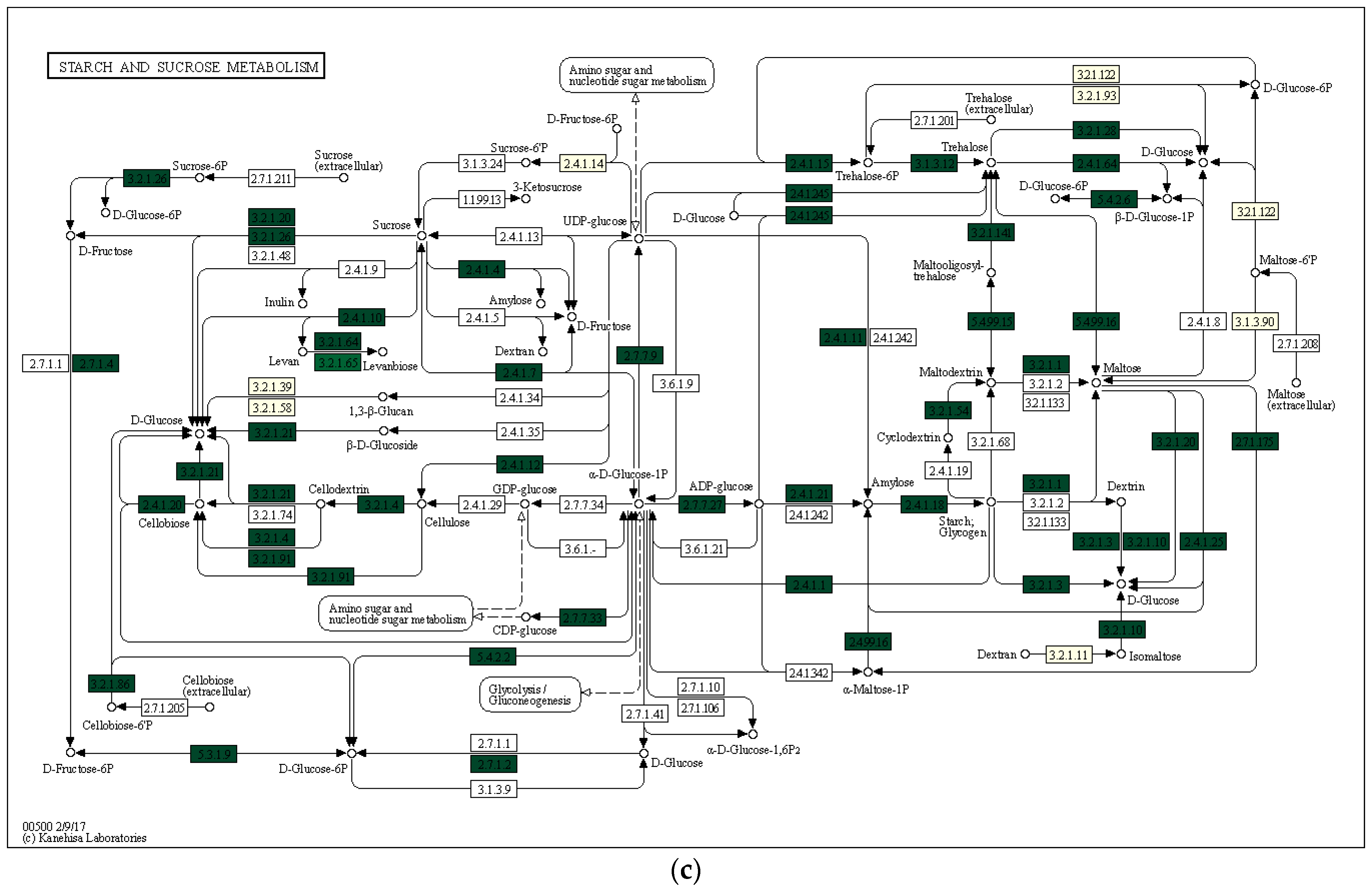Forests 13 01863 g007b Forests 13 01863 g007b