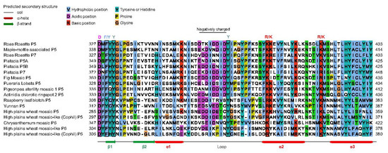 The Complex World of Emaraviruses—Challenges, Insights, and The Complex World of Emaraviruses—Challenges, Insights, and