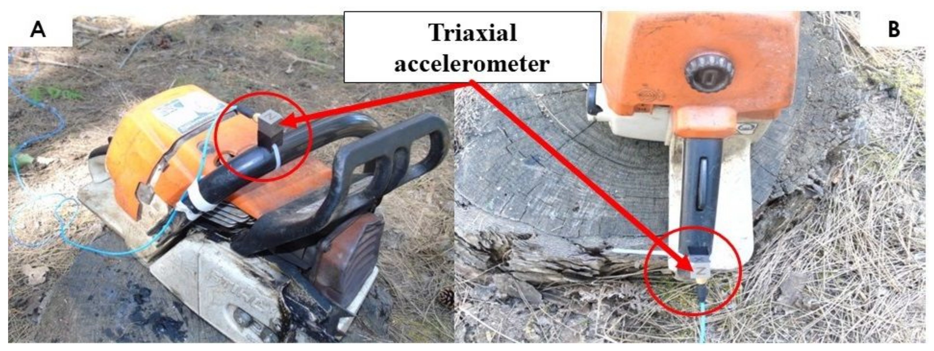 Forests 13 01876 g002