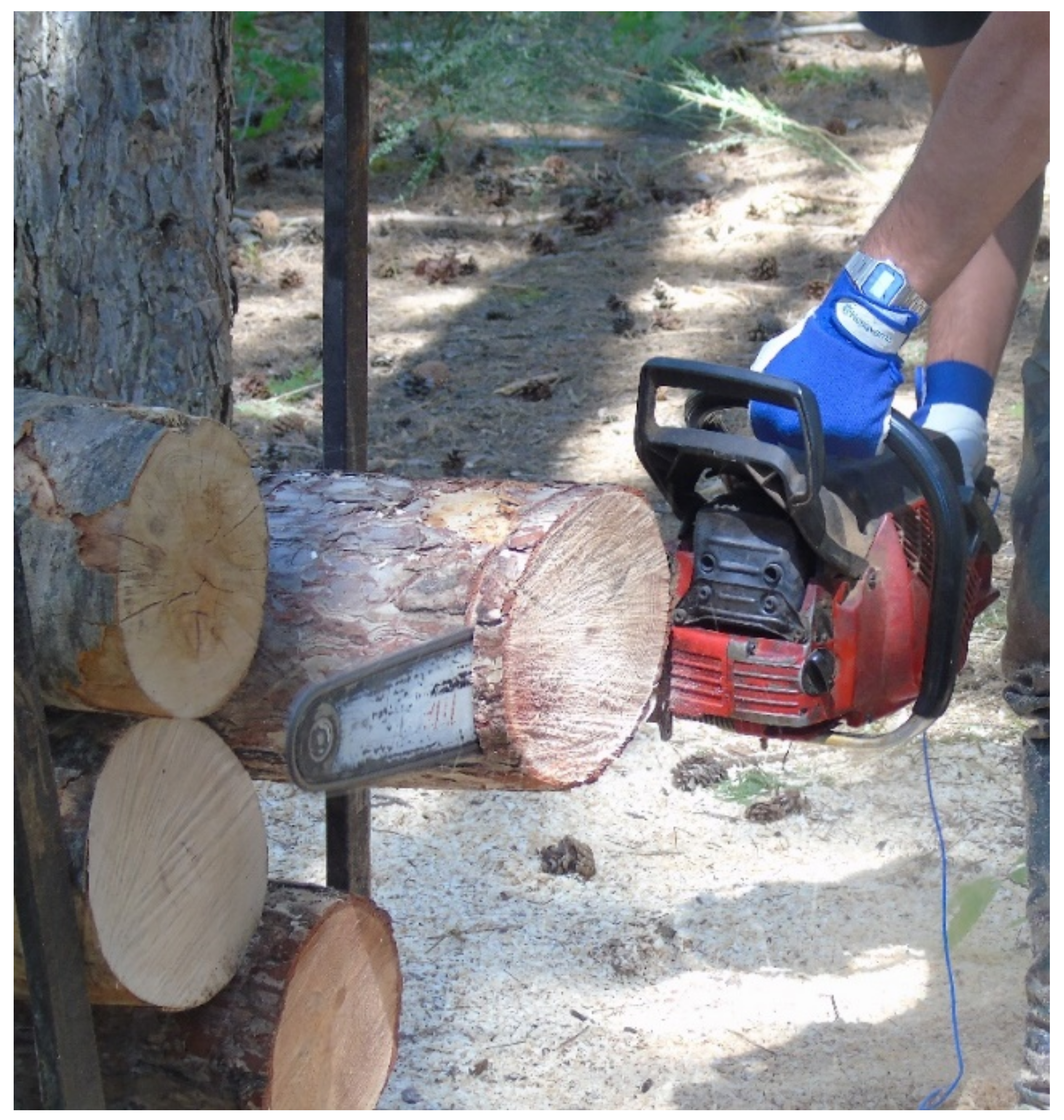 Forests 13 01876 g003