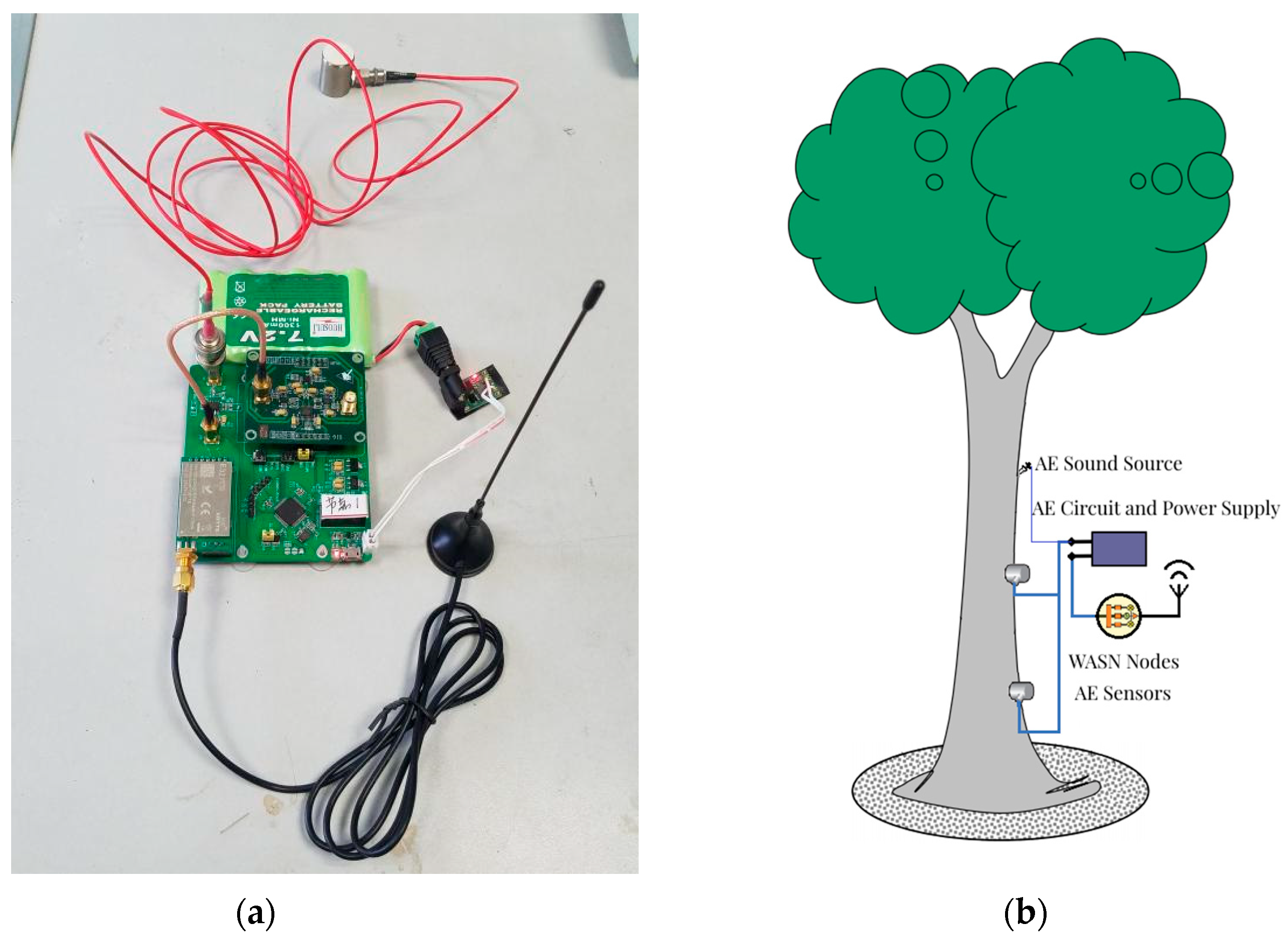 Forests 13 01879 g003 Forests 13 01879 g003
