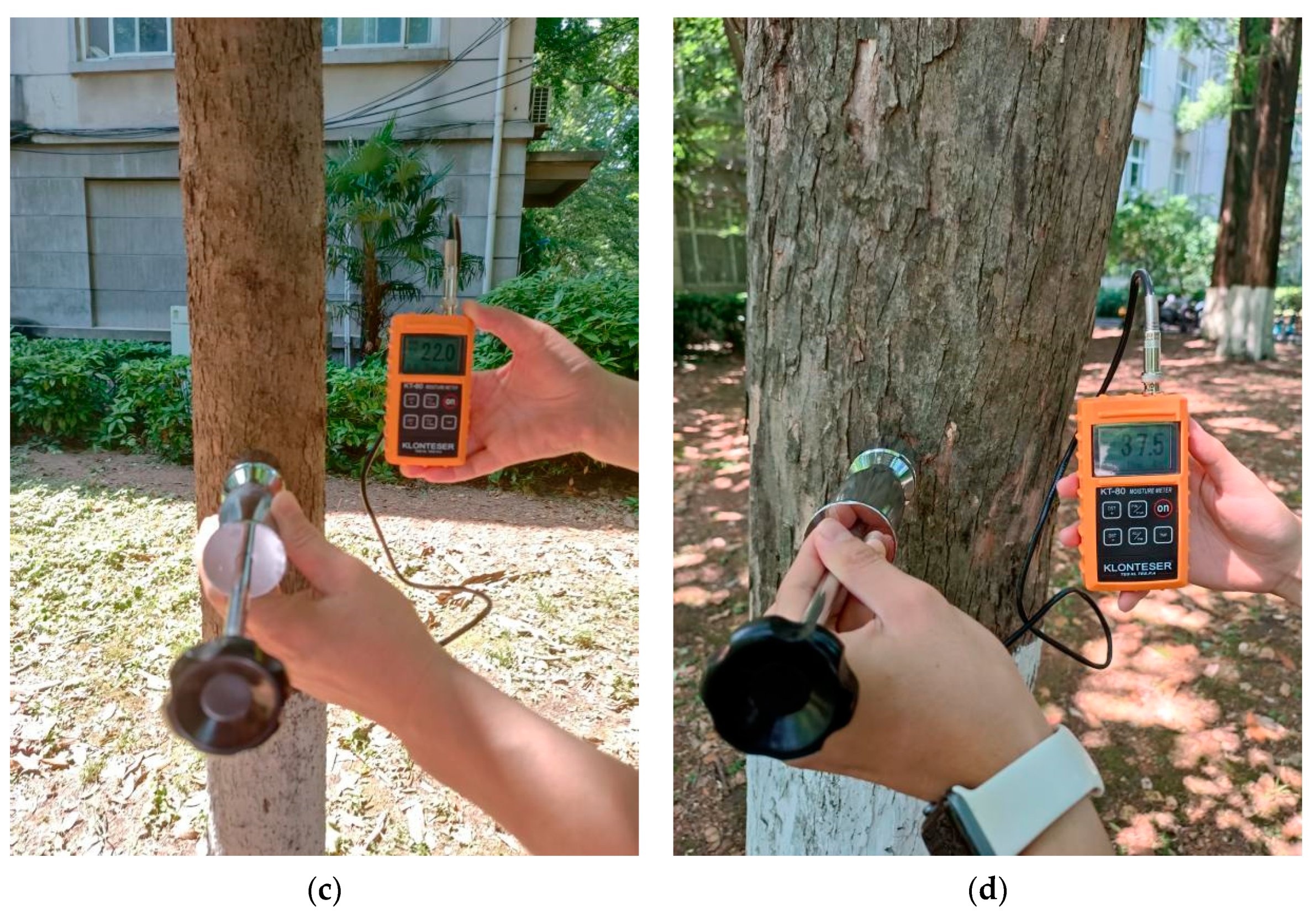 Forests 13 01879 g022b Forests 13 01879 g022b