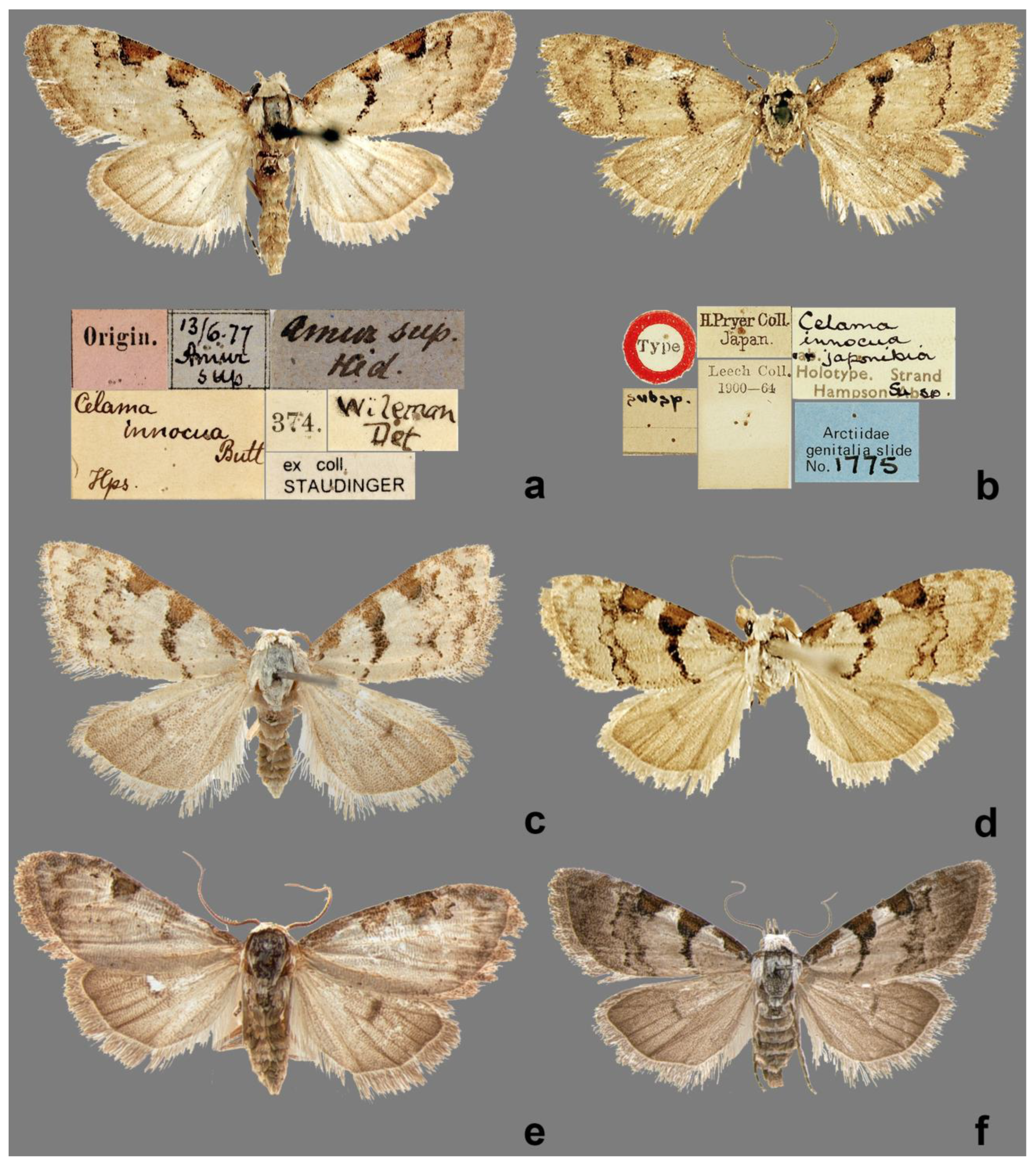 Forests 13 01881 g001