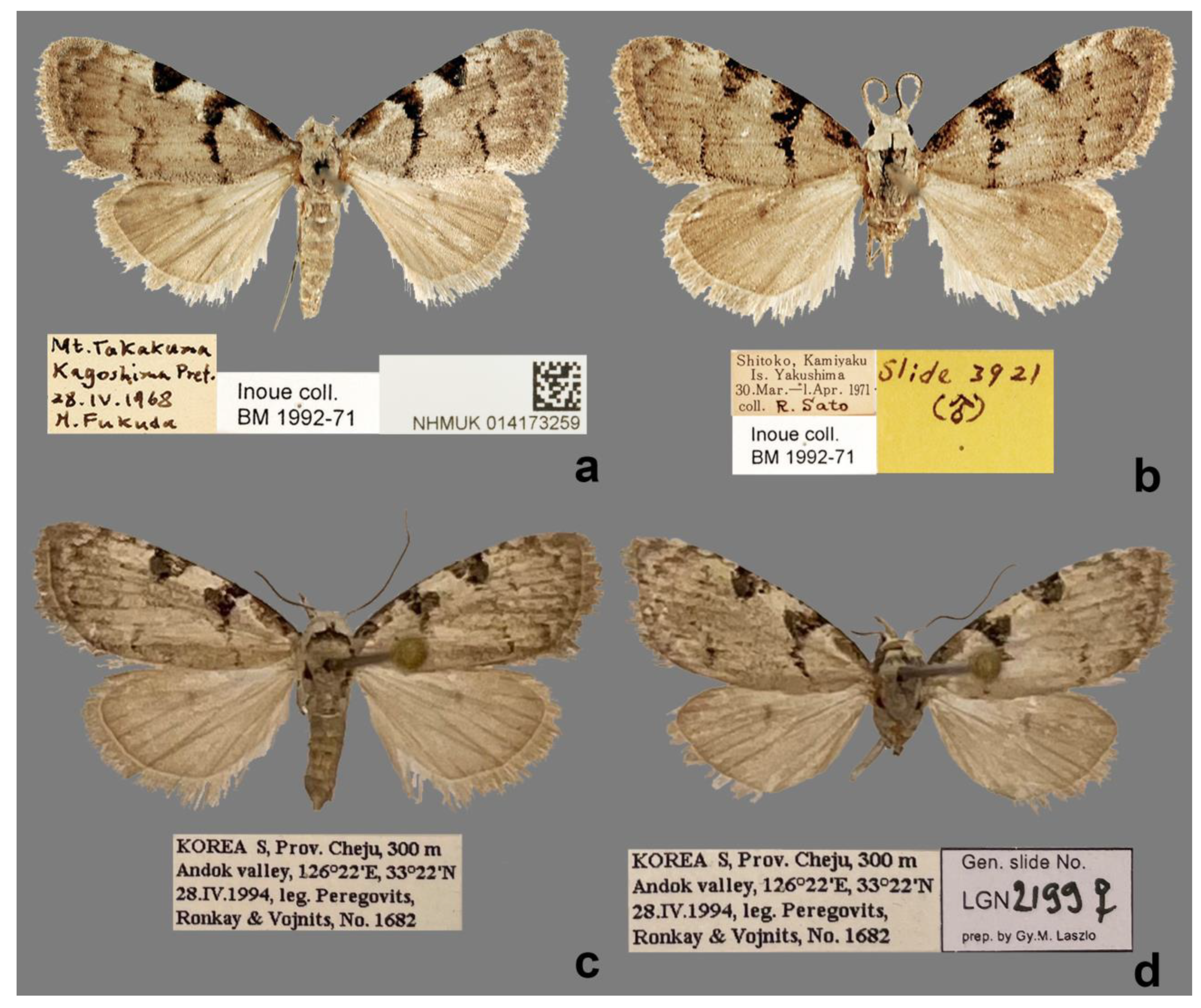 Forests 13 01881 g003