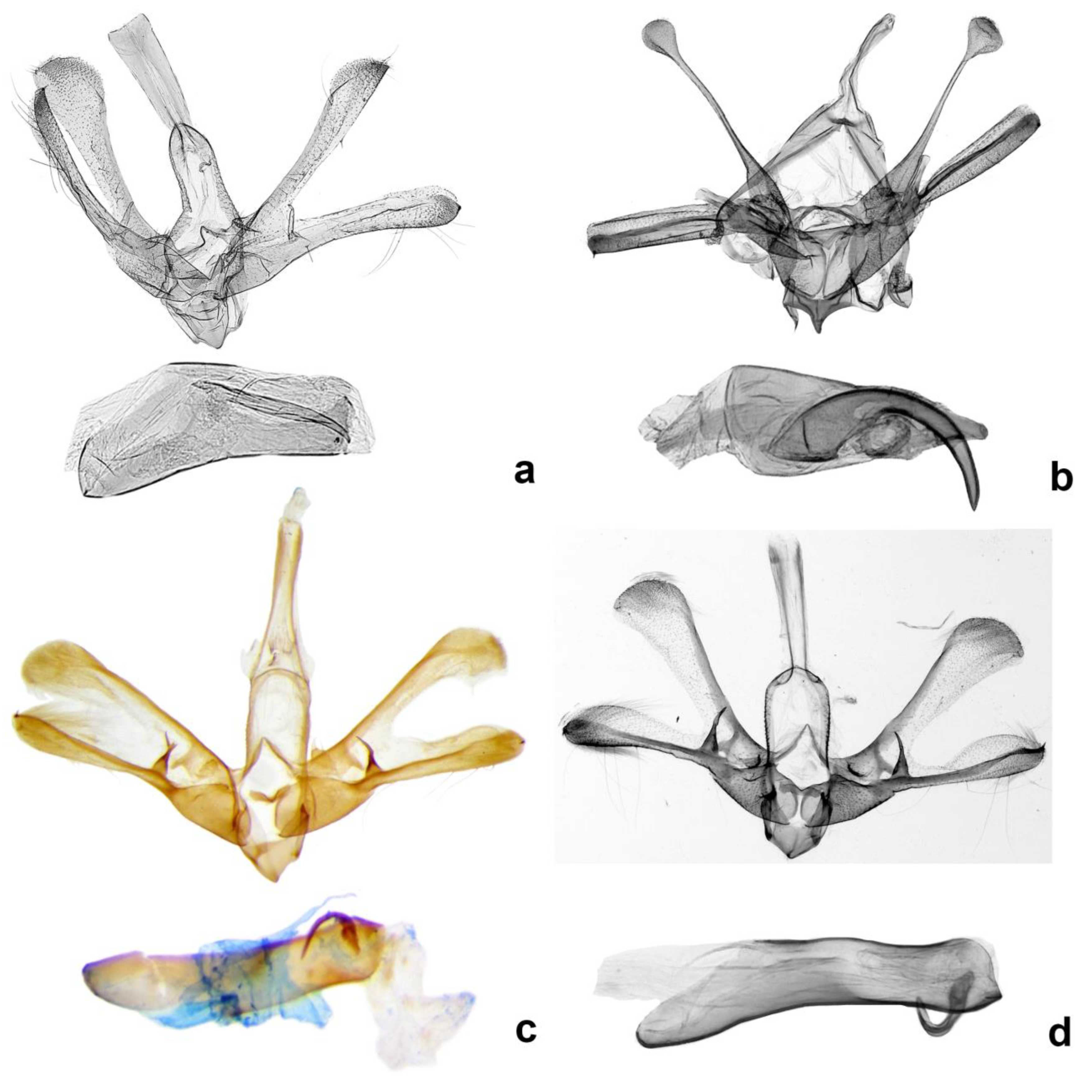 Forests 13 01881 g004