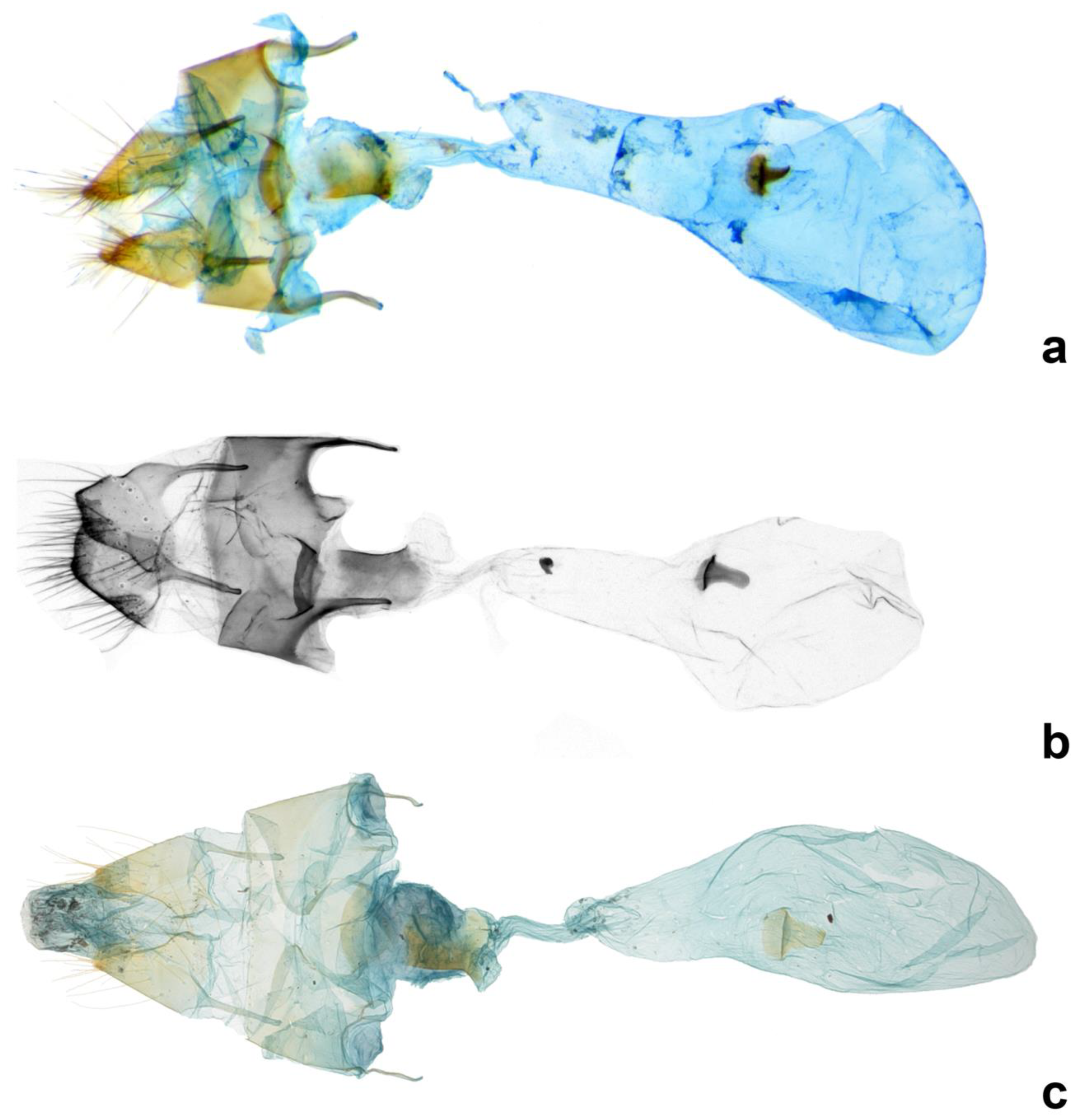 Forests 13 01881 g006