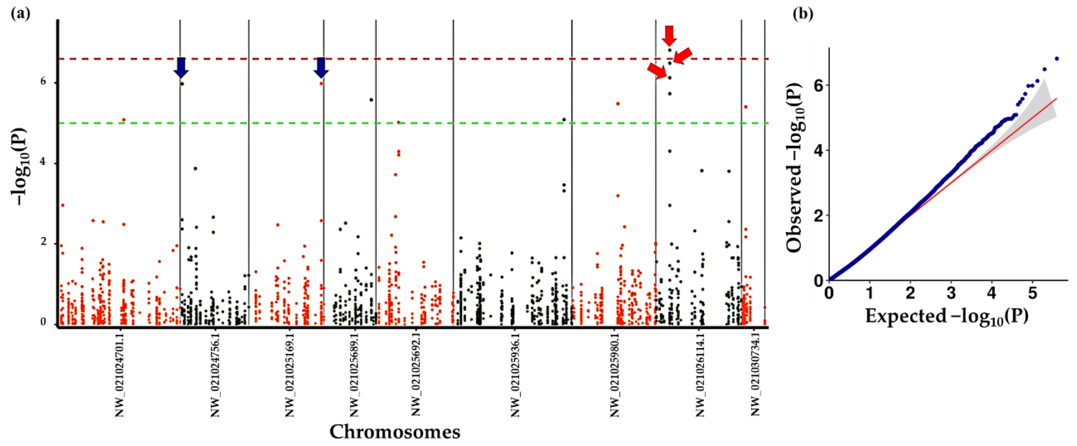Forests 13 01885 g008