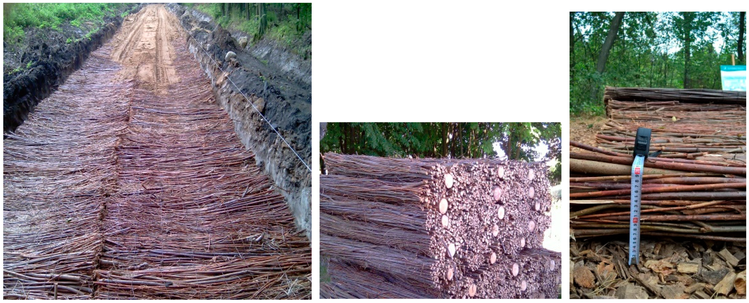 Forests 13 01888 g002