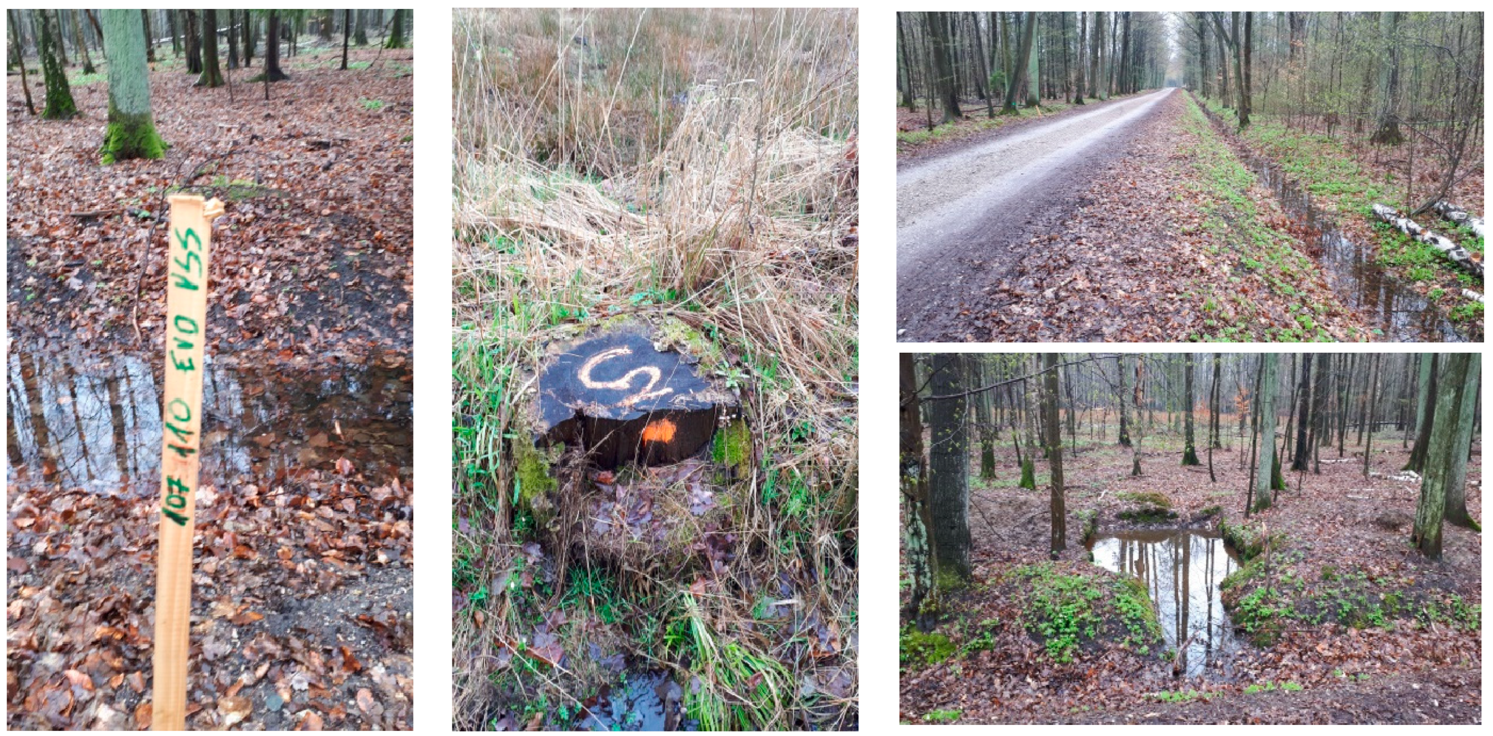 Forests 13 01888 g0a1