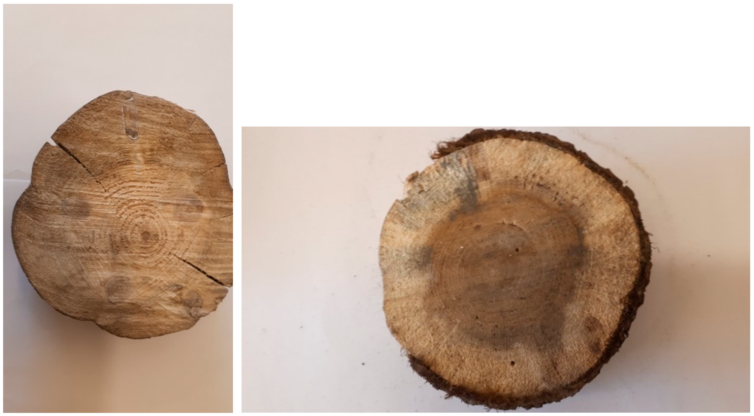 Forests 13 01888 g0a2