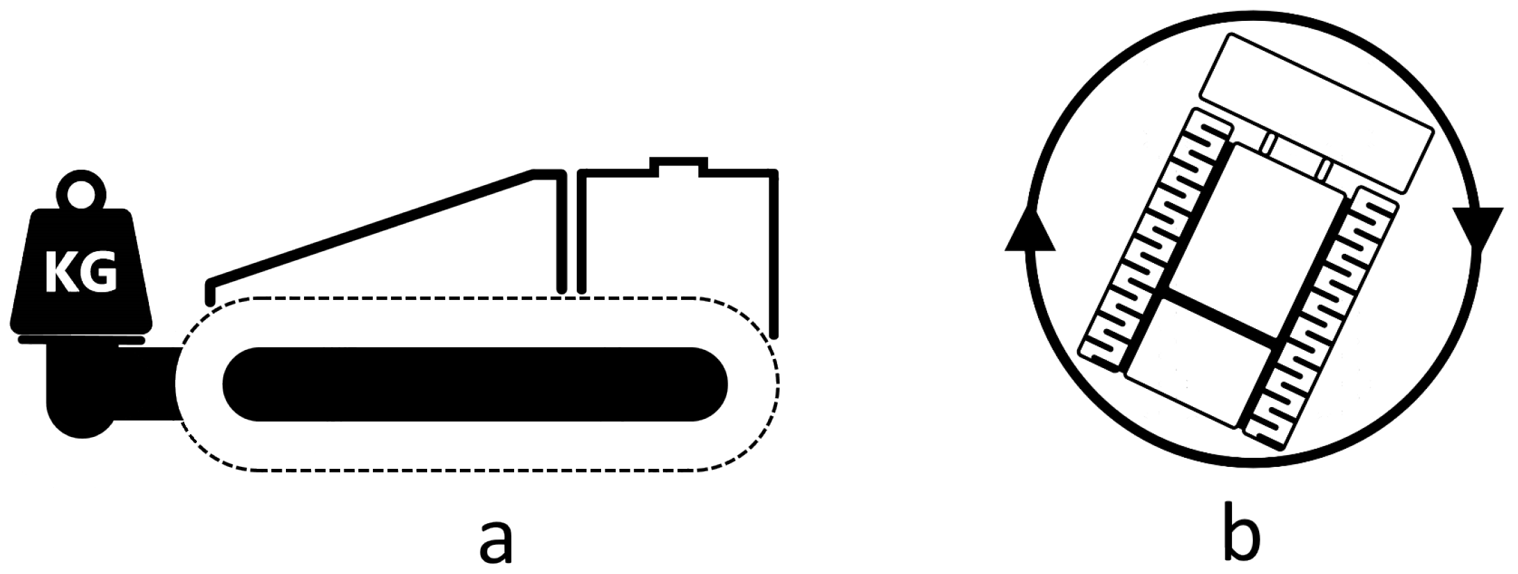 Forests 13 01889 g004 Forests 13 01889 g004