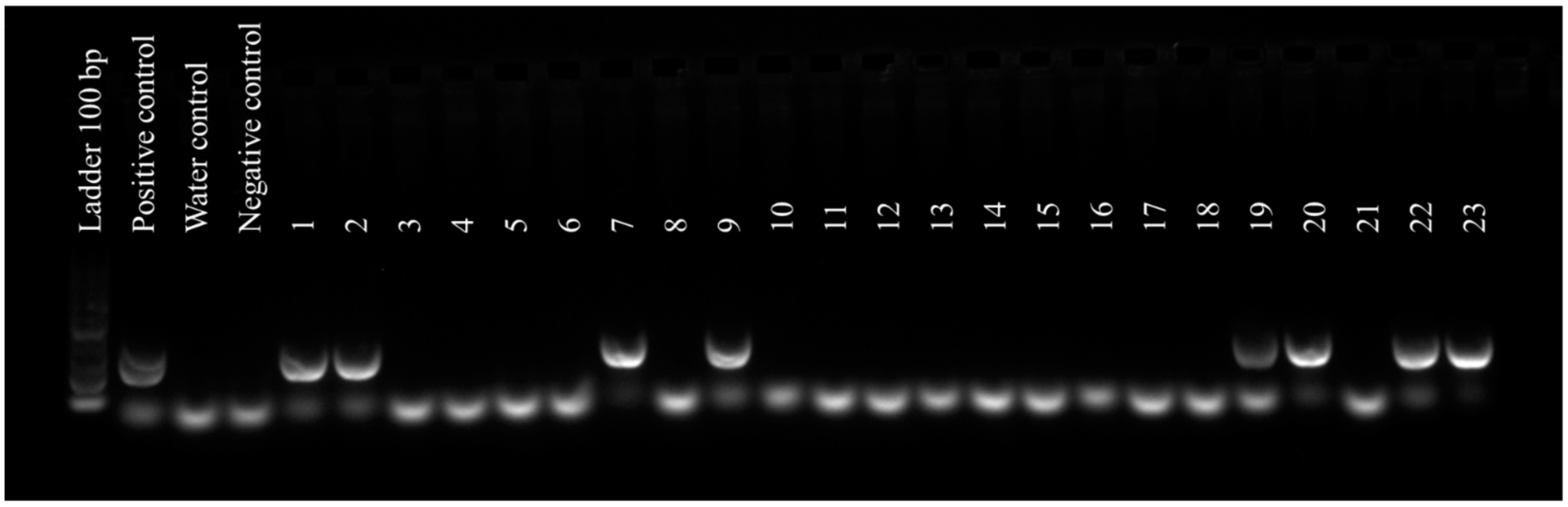 Forests 13 01894 g003 Forests 13 01894 g003