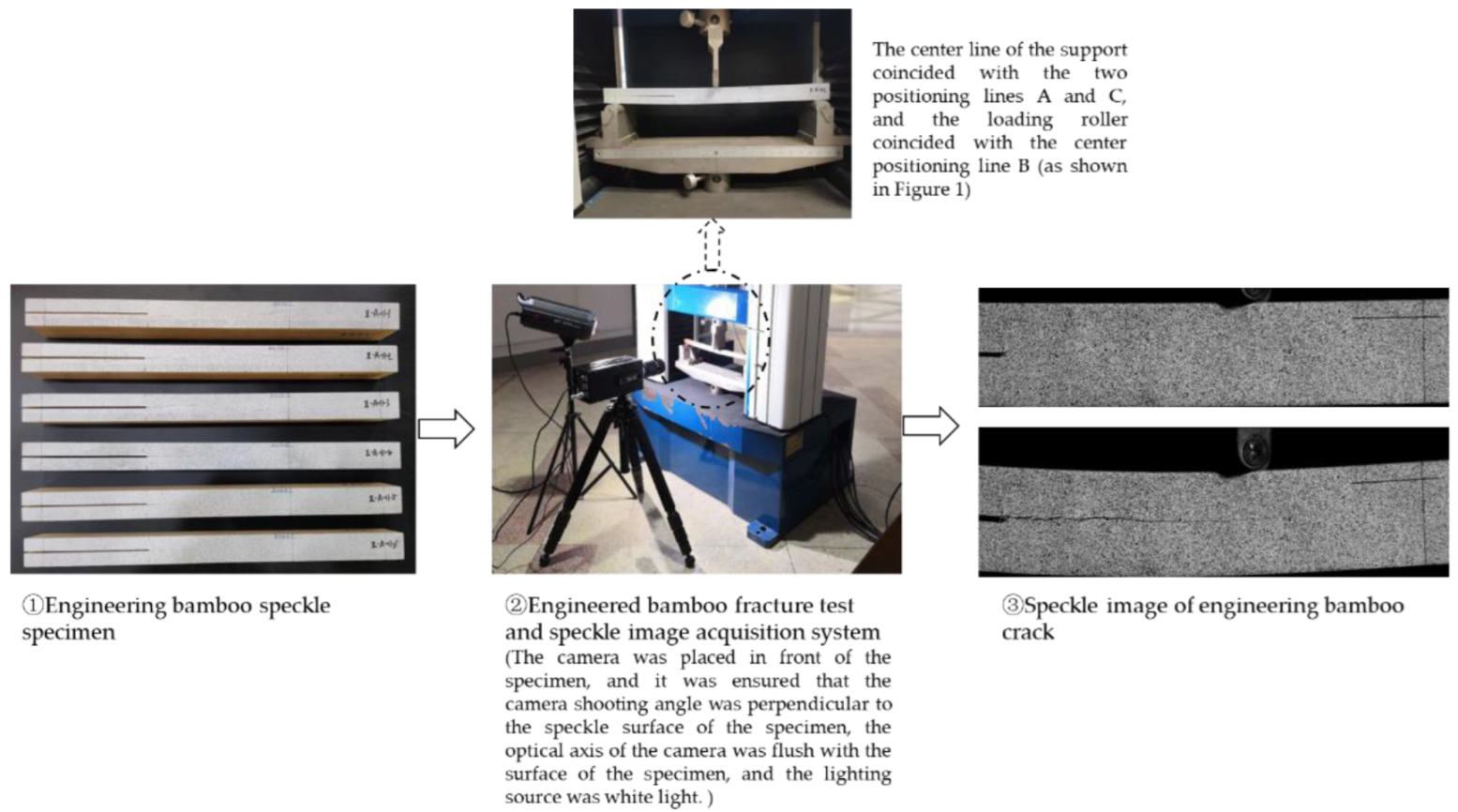 Forests 13 01896 g002