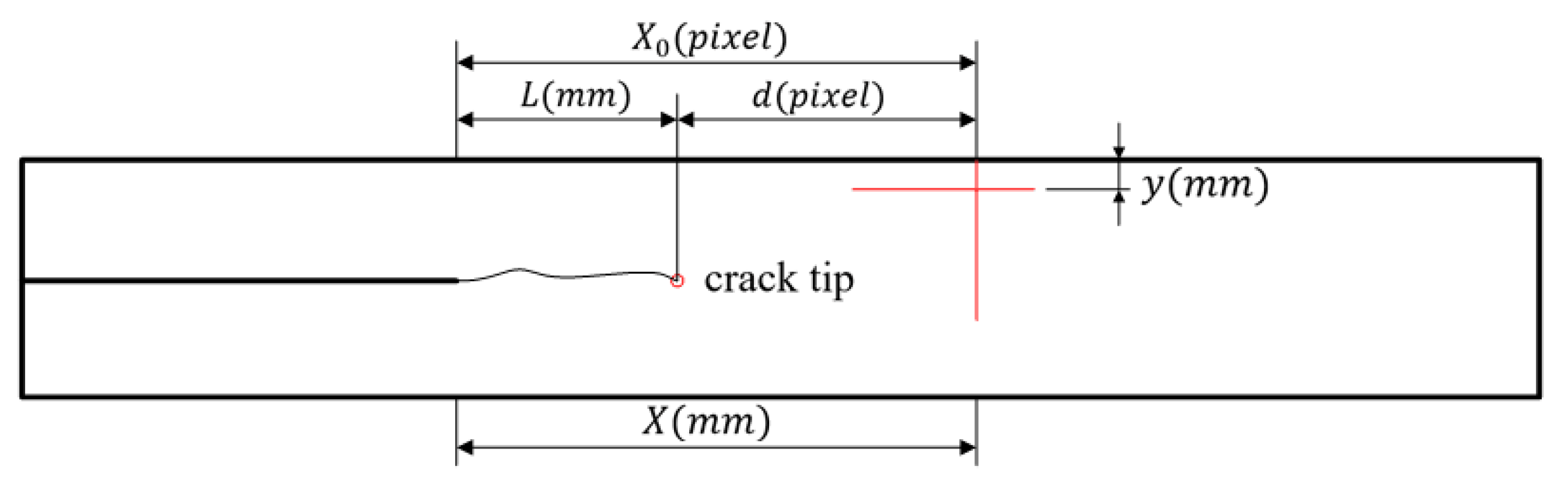 Forests 13 01896 g006