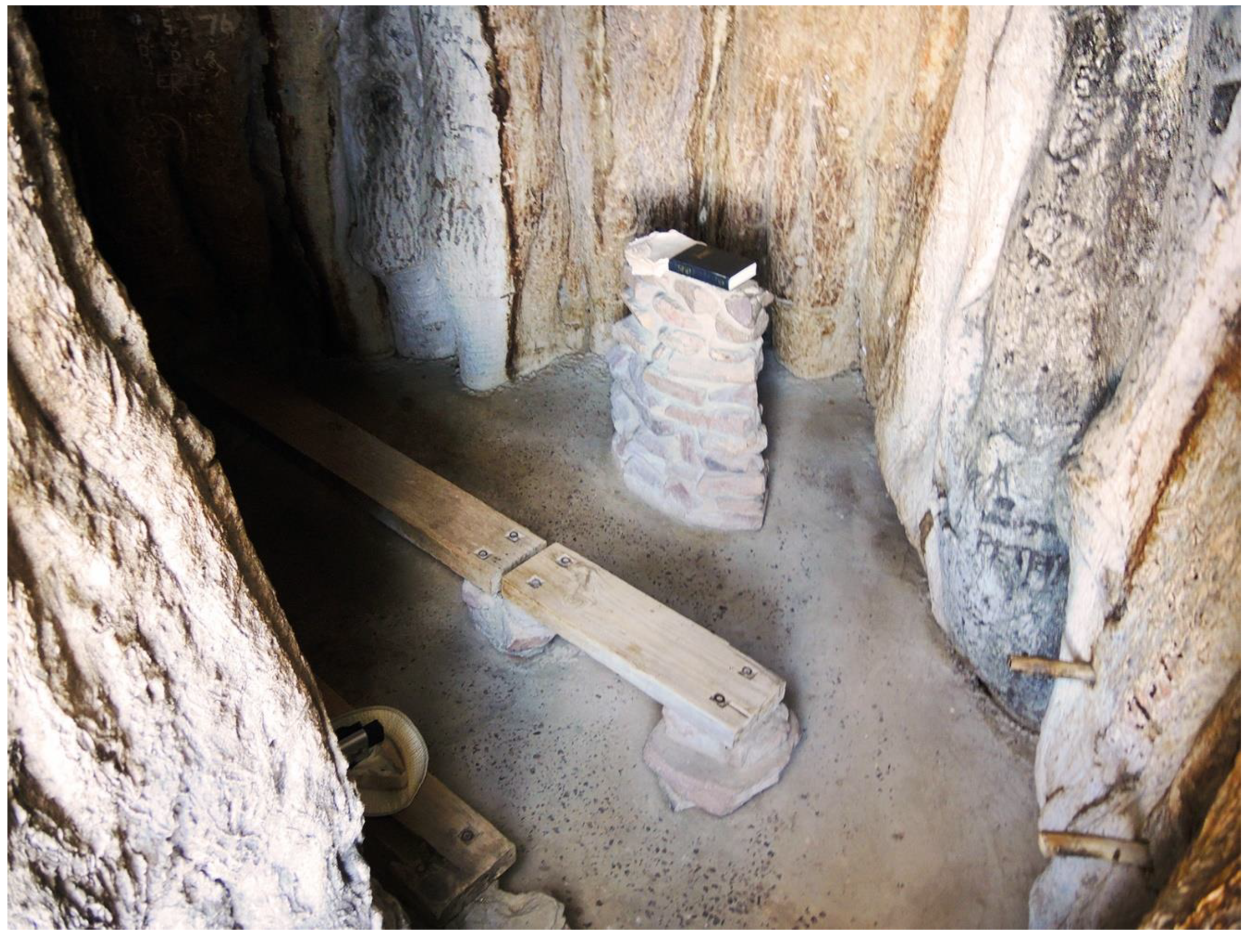 Forests 13 01899 g003