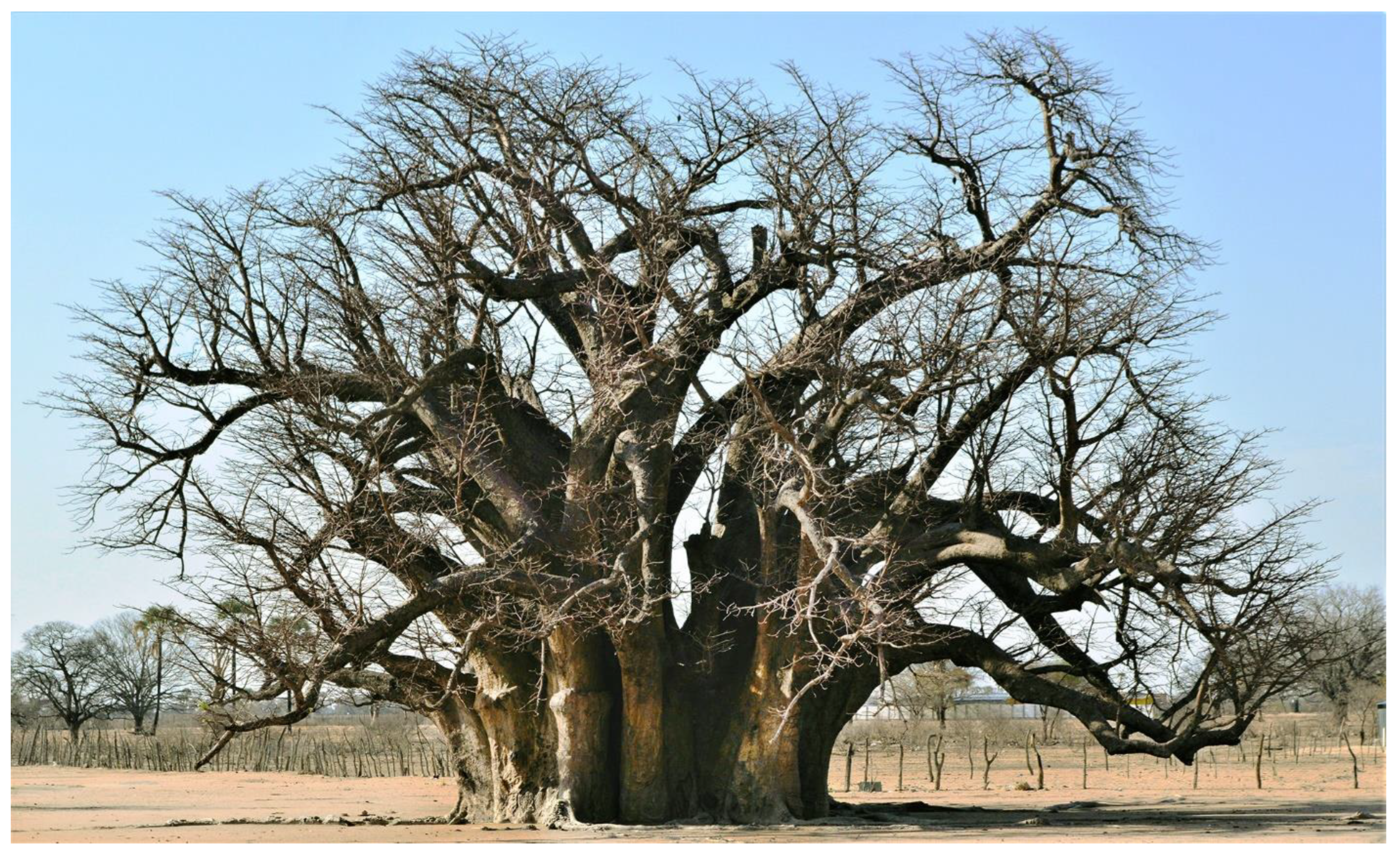 Forests 13 01899 g007