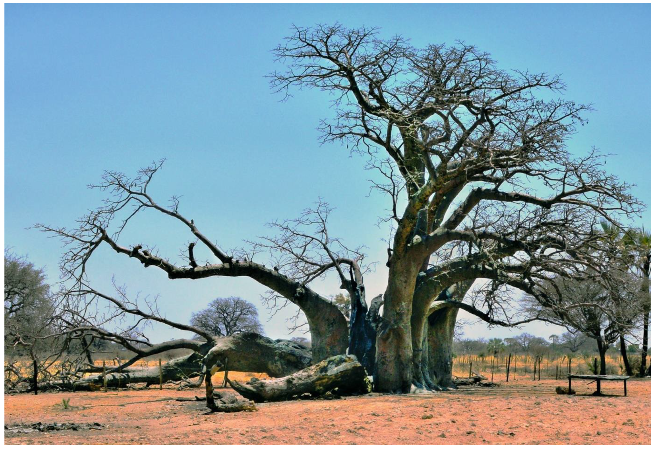 Forests 13 01899 g008